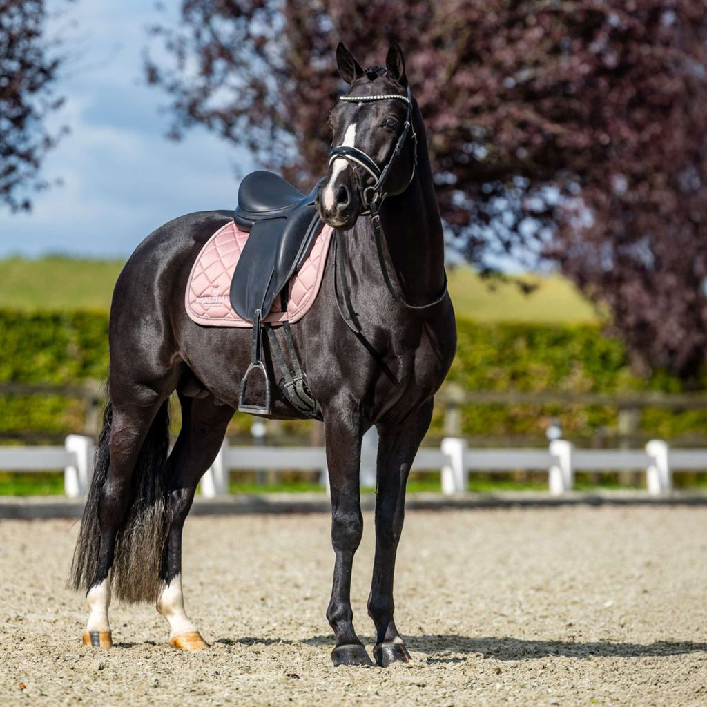 Equestrian Stockholm Tapis de Selle Line Dressage Rose