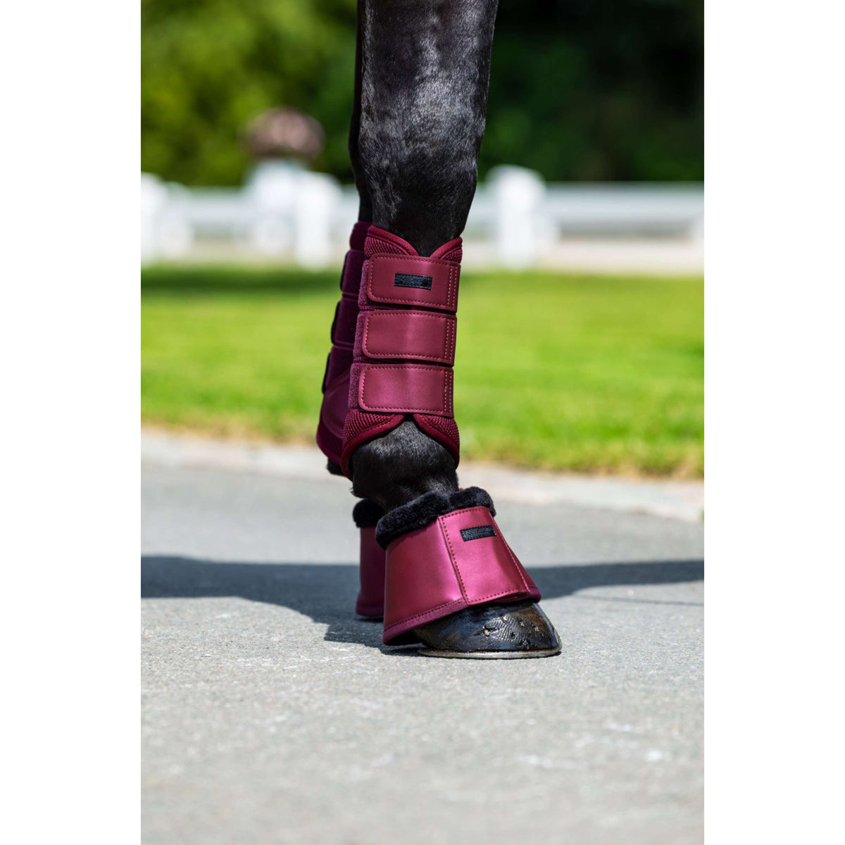Equestrian Stockholm Cloches d'Obstacles Merlot