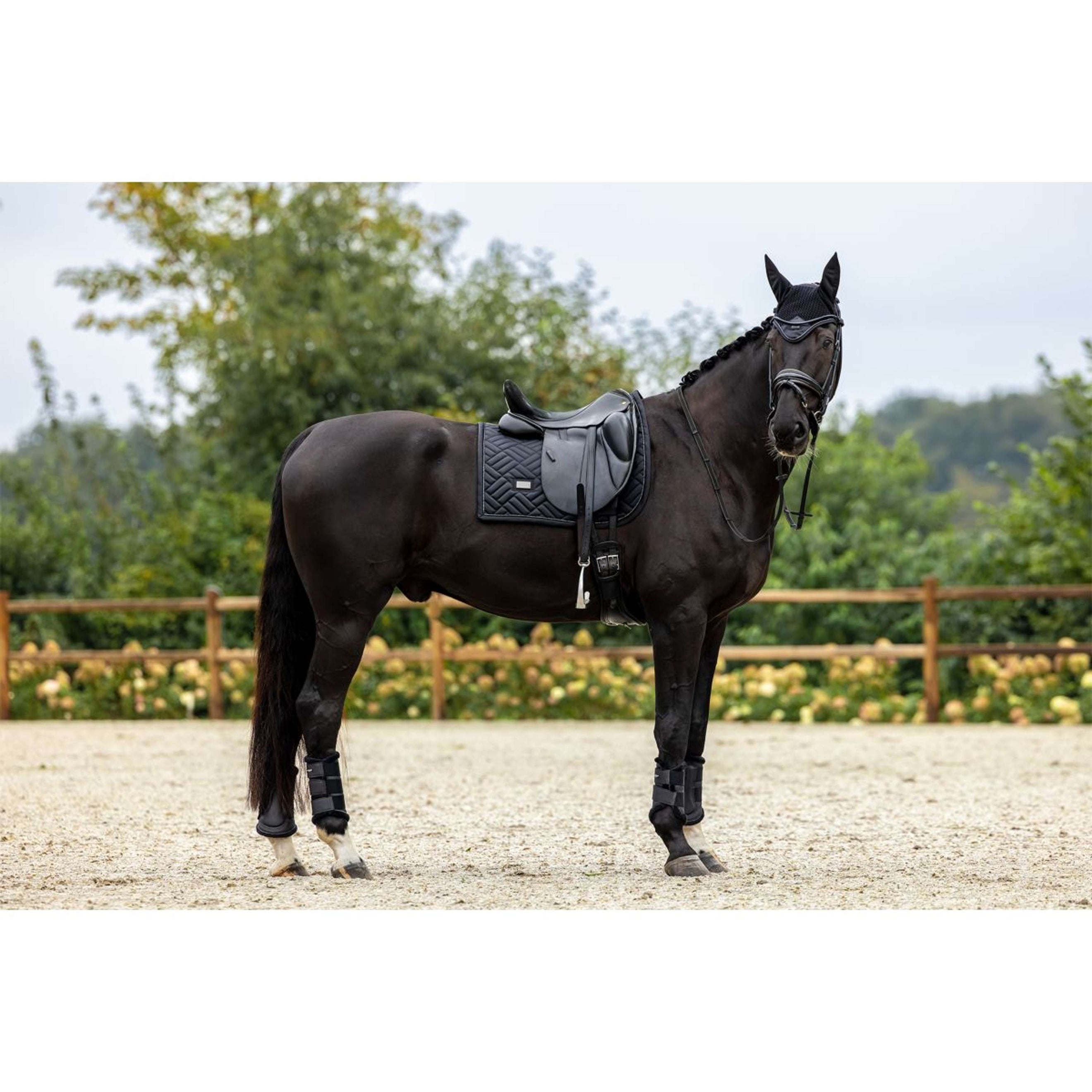 Equestrian Stockholm Tapis de Selle Modern Dressage Noir