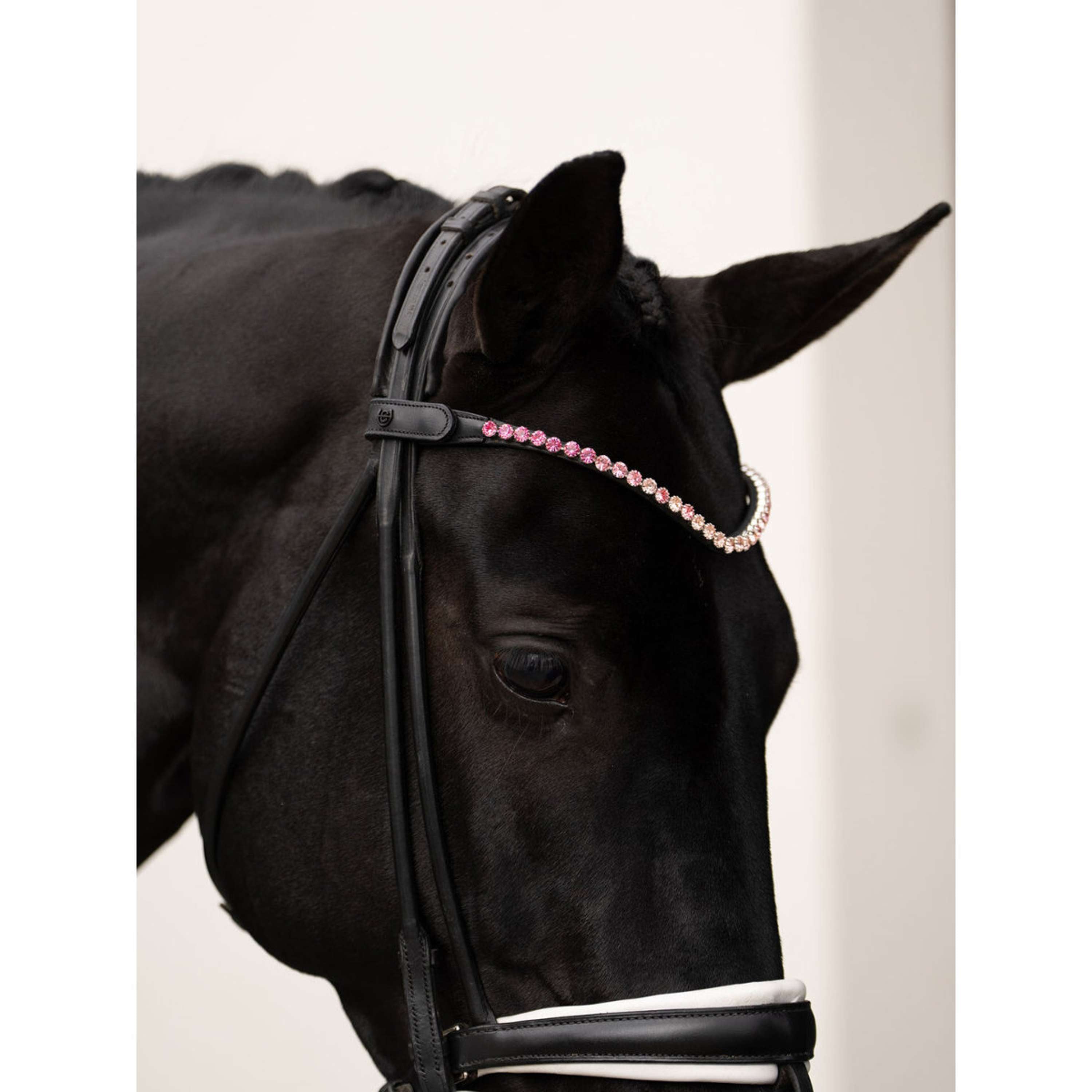 Equestrian Stockholm Frontal Faded 8mm Rose