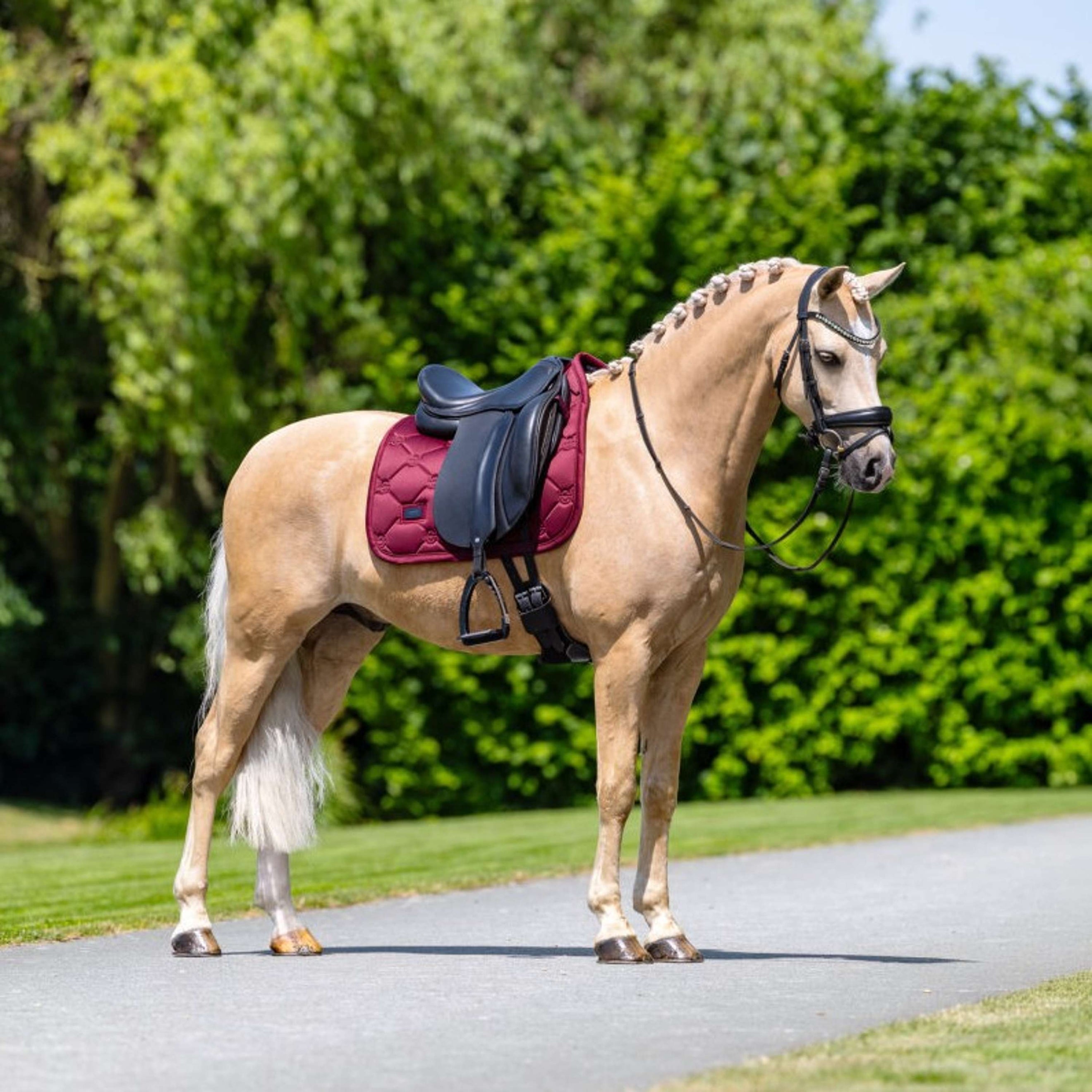 Equestrian Stockholm Tapis de Selle Satin Dressage Merlot Equestrian Stockholm Tapis de Selle Satin Dressage Merlot