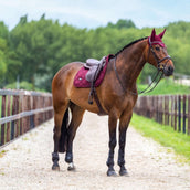 Equestrian Stockholm Bonnet Anti-Mouches Satin Merlot