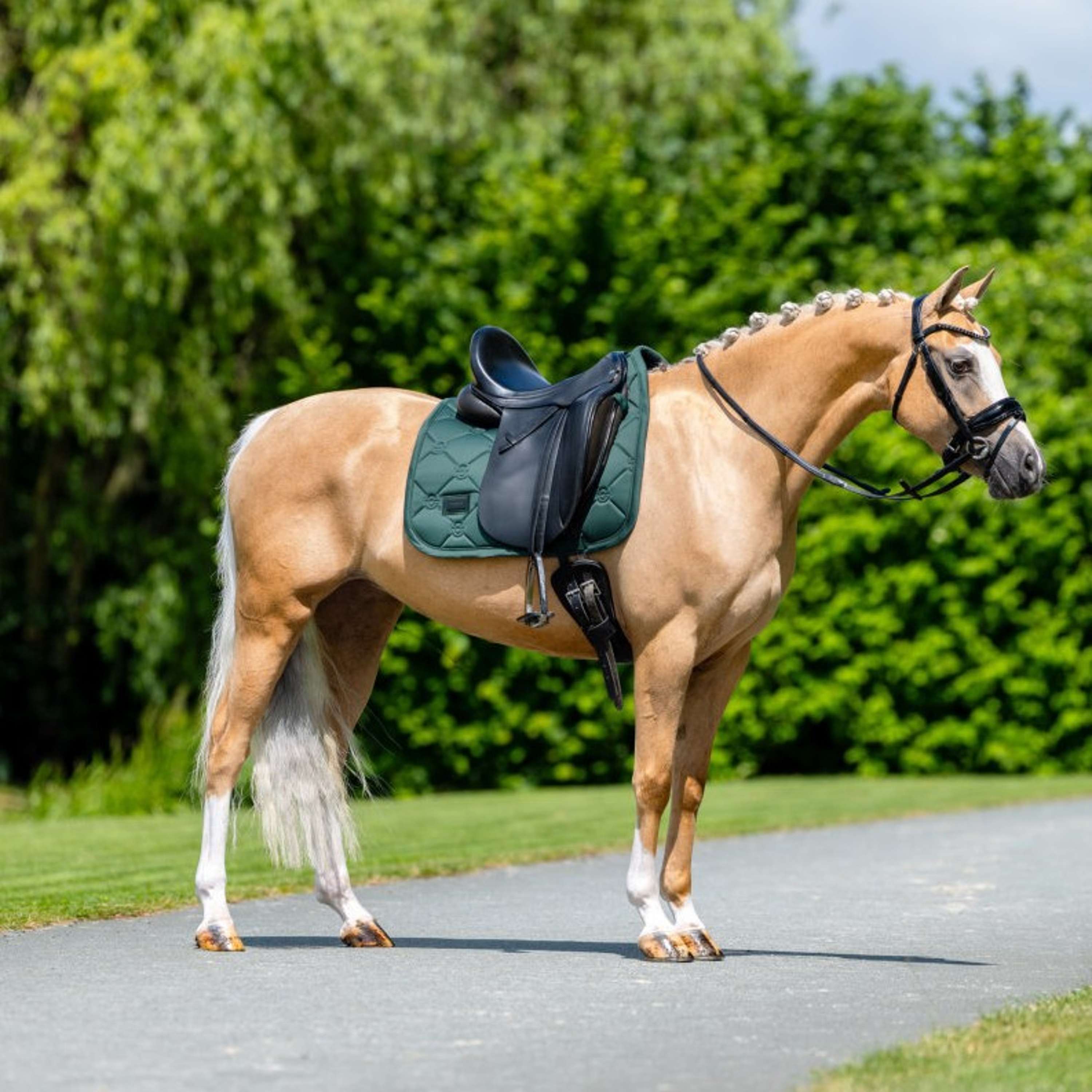 Equestrian Stockholm Tapis de Selle Satin Dressage Sycamore Green