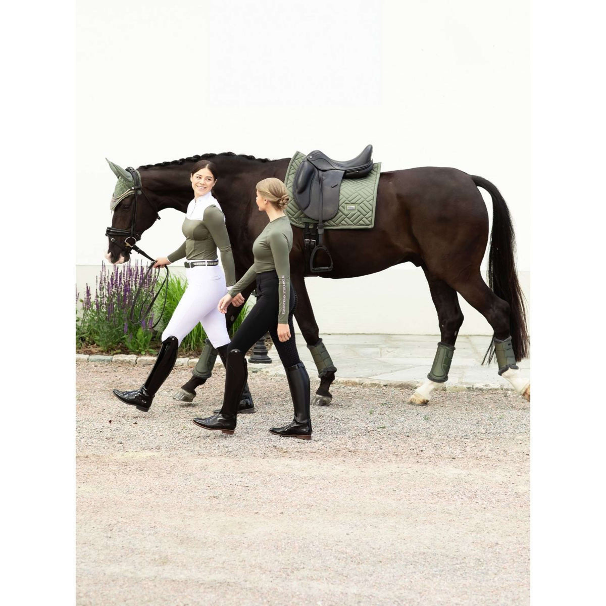 Equestrian Stockholm Tapis de Selle Modern Dressage Striking Viking