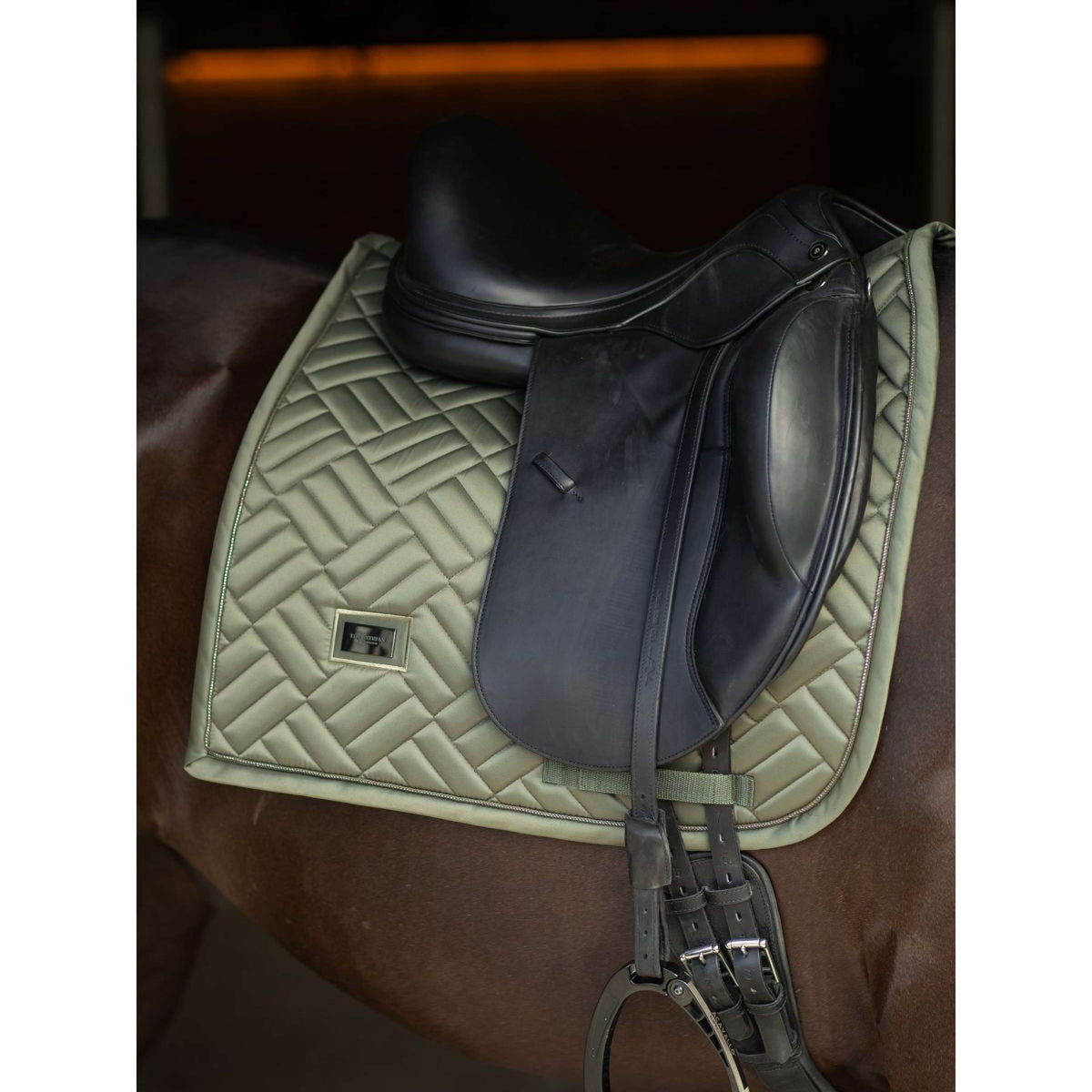 Equestrian Stockholm Tapis de Selle Modern Dressage Striking Viking