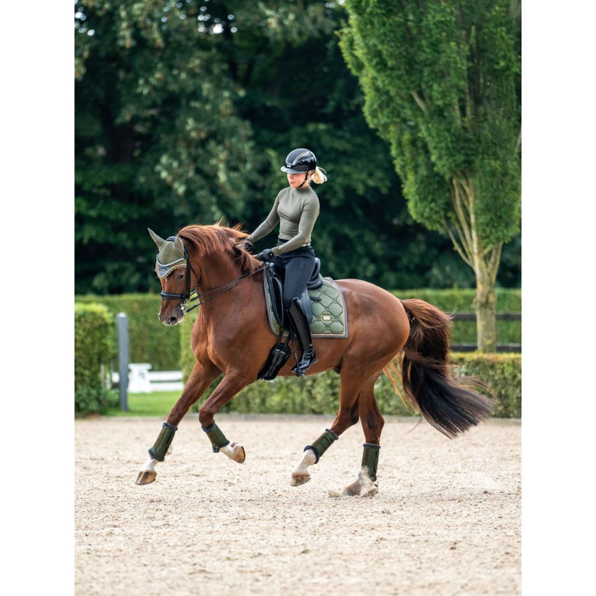 Equestrian Stockholm Tapis de Selle Dressage Striking Valley