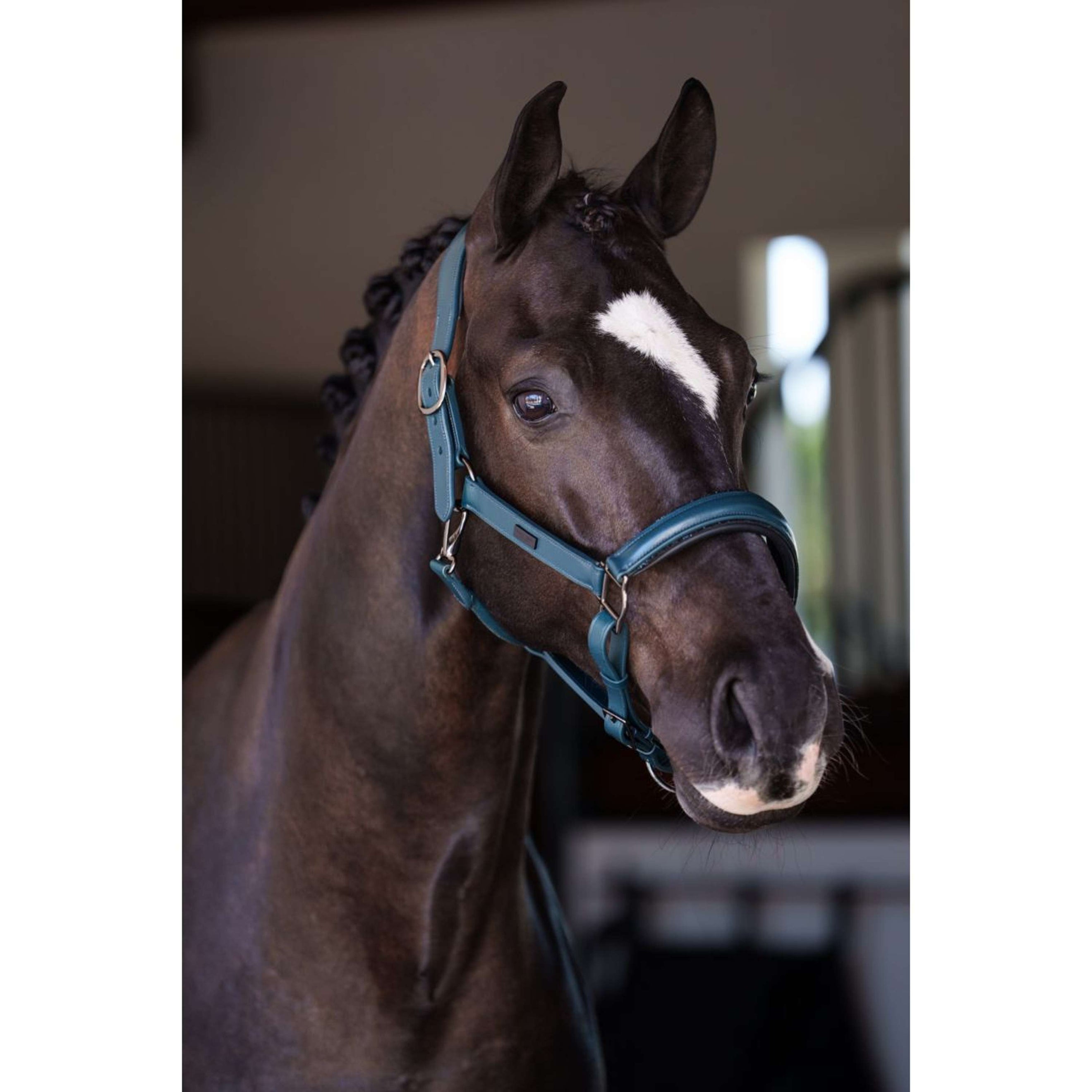 Equestrian Stockholm Licol Glimmer Leather Anatomic Teal Blue Equestrian Stockholm Licol Glimmer Leather Anatomic Teal Blue