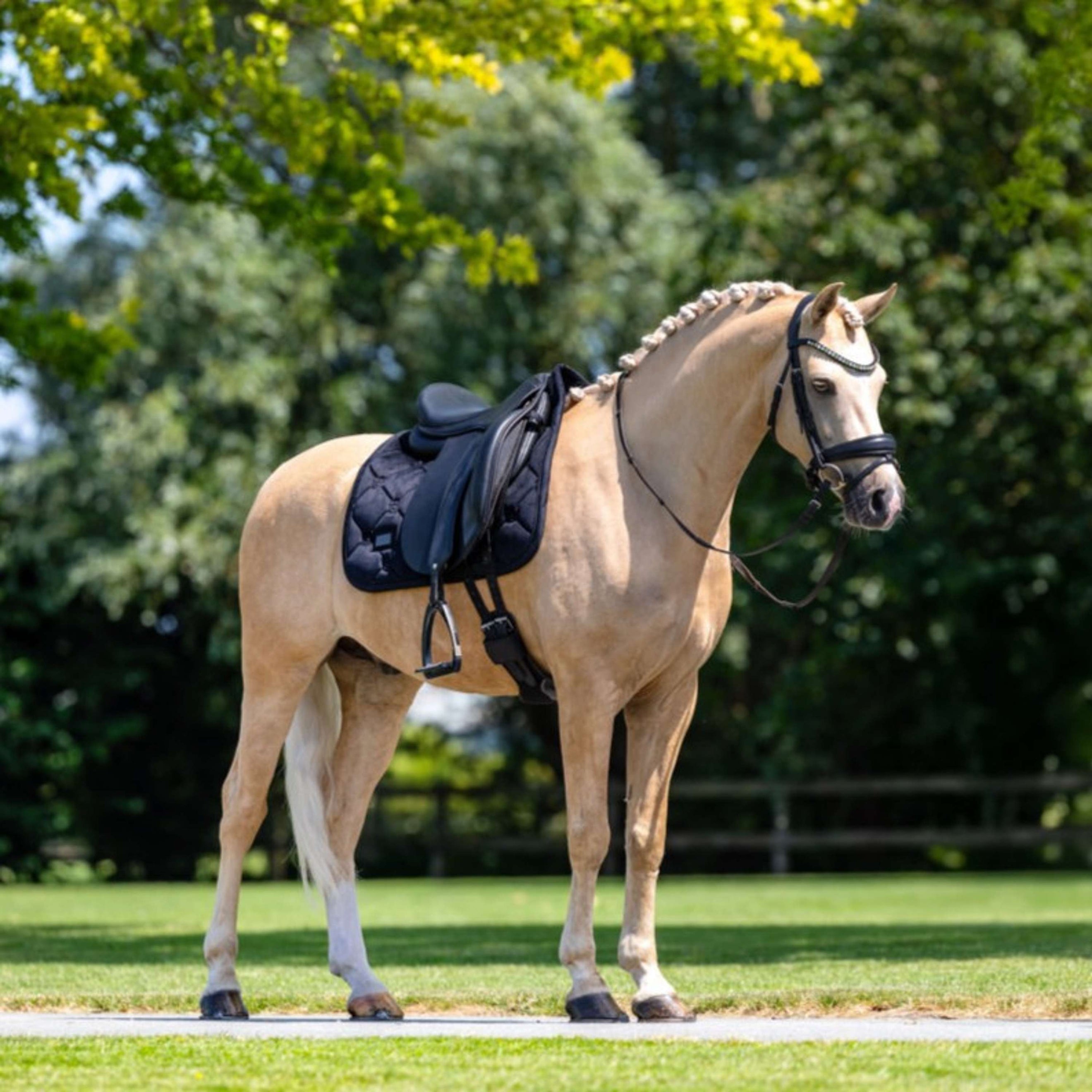 Equestrian Stockholm Tapis de Selle Velvet Dressage Noir Equestrian Stockholm Tapis de Selle Velvet Dressage Noir