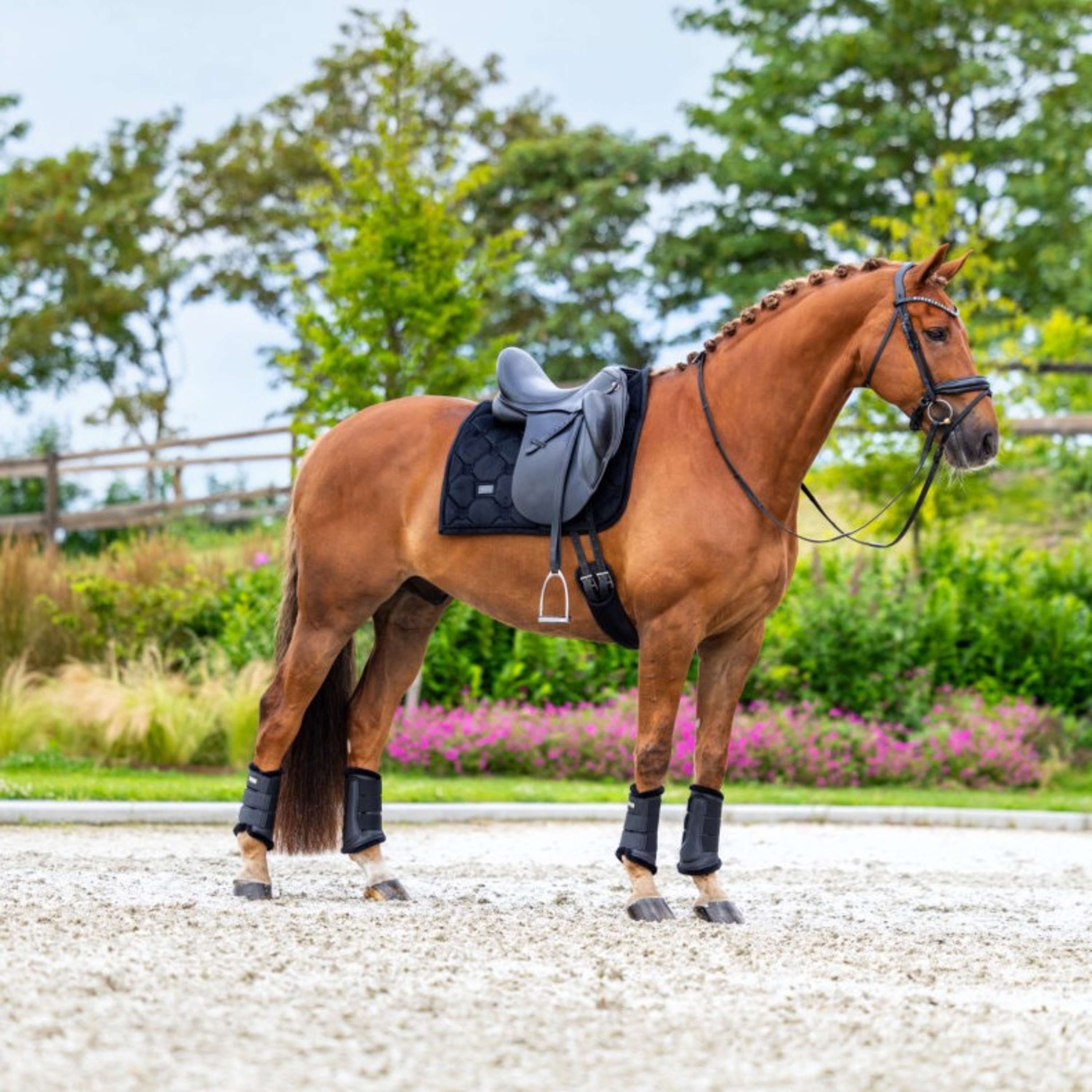 Equestrian Stockholm Tapis de Selle Velvet Dressage Noir