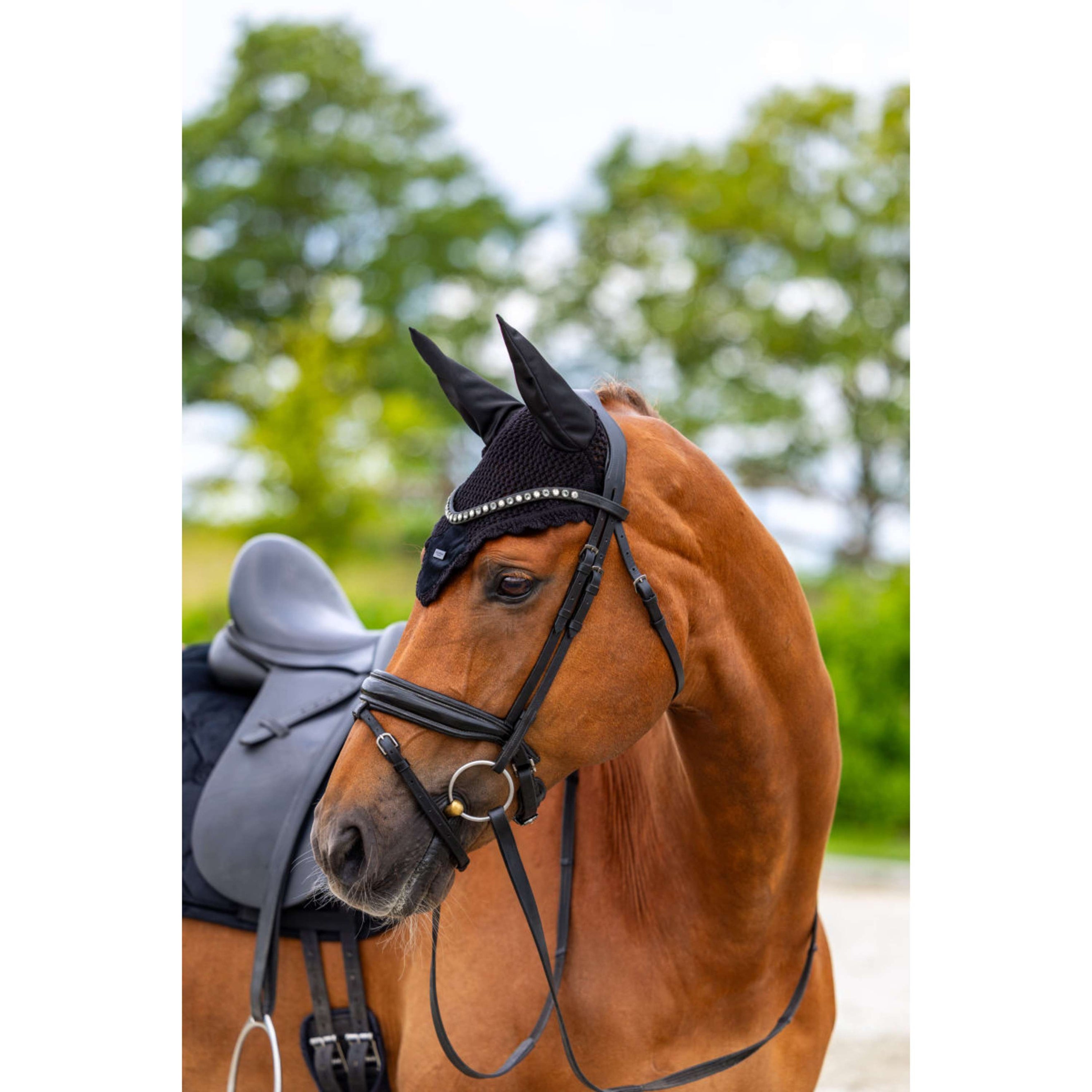 Equestrian Stockholm Bonnet Anti-Mouches Velvet Noir Equestrian Stockholm Bonnet Anti-Mouches Velvet Noir