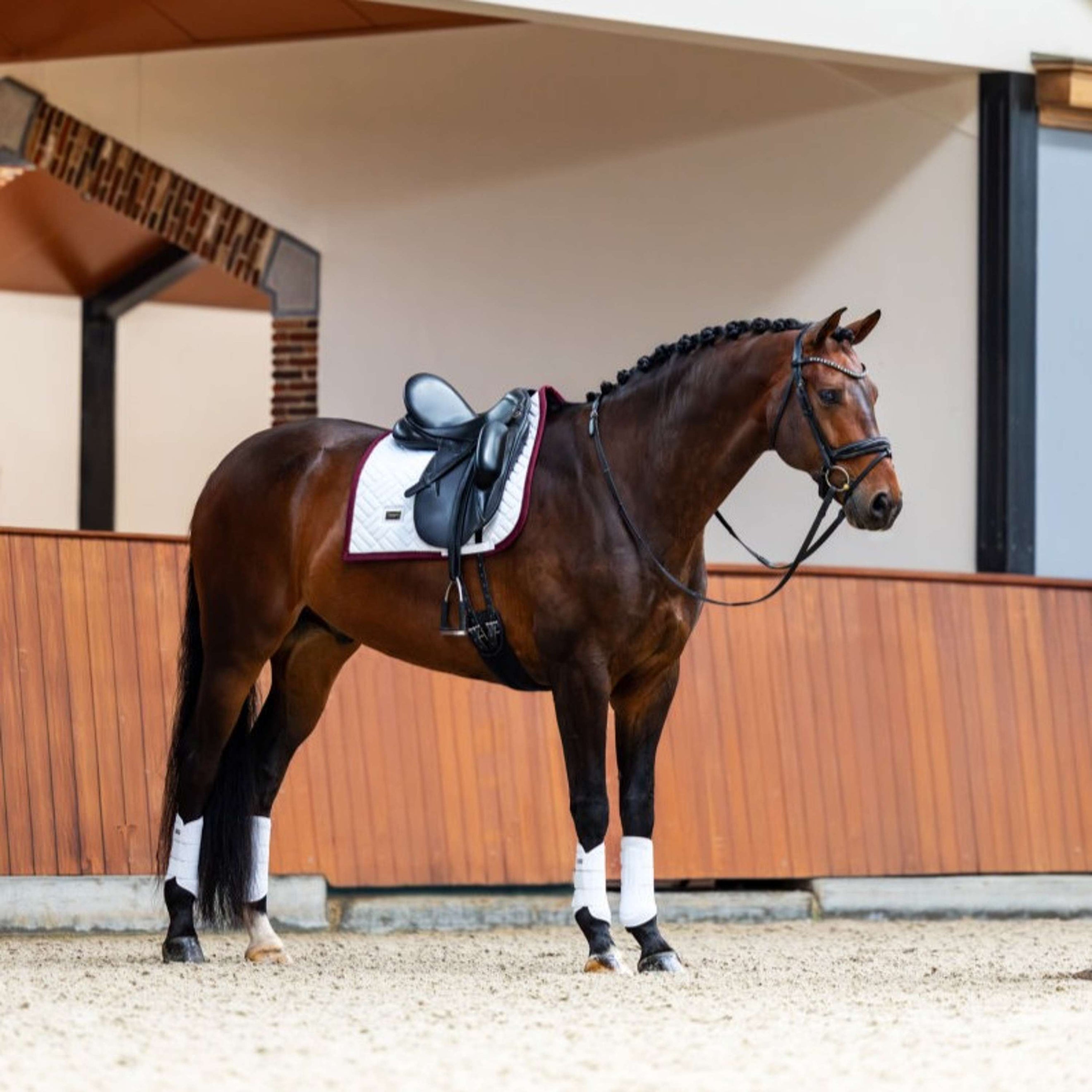 Equestrian Stockholm Tapis de Selle Modern Dressage Blanc/Merlot Equestrian Stockholm Tapis de Selle Modern Dressage Blanc/Merlot