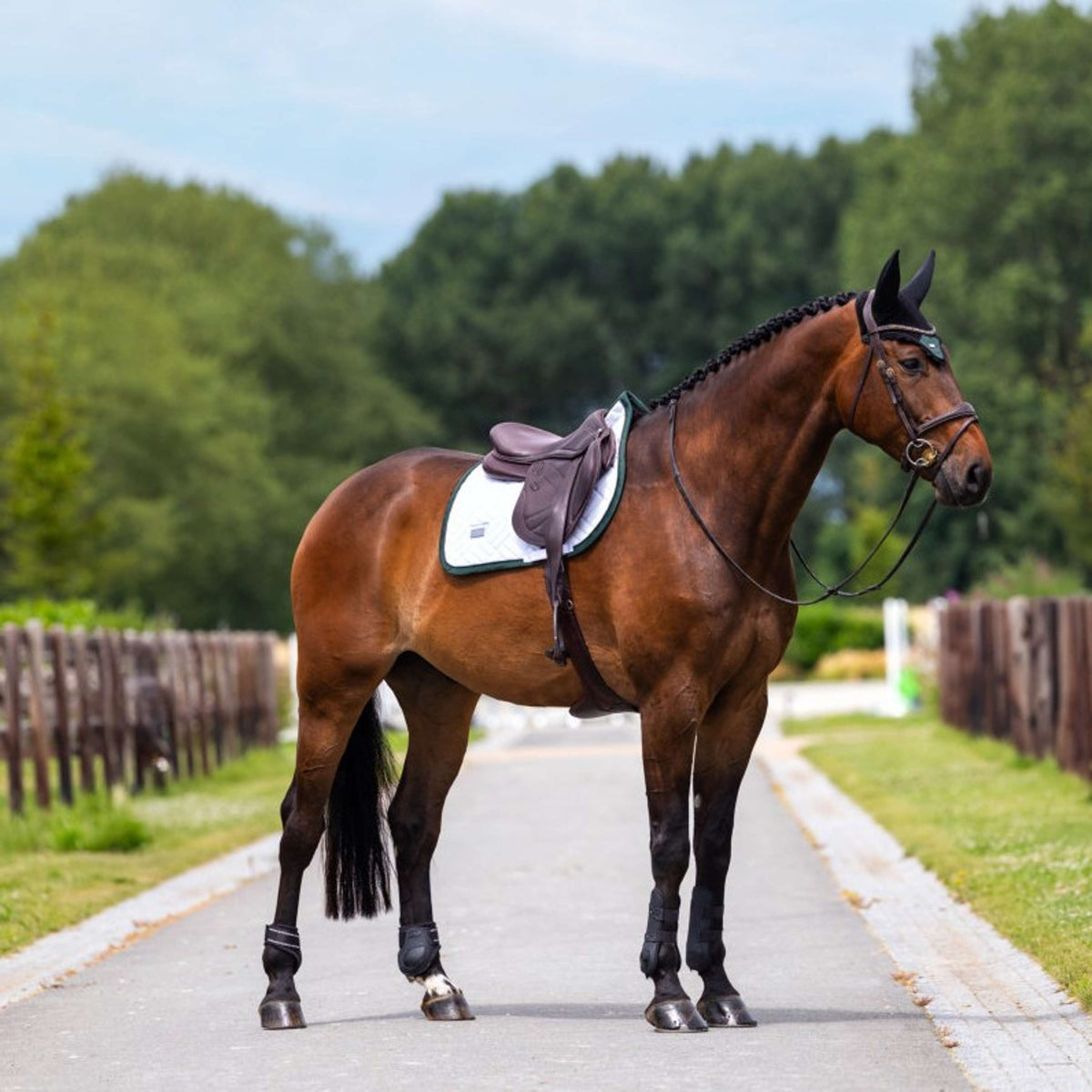 Equestrian Stockholm Tapis de Selle Modern de Saut Blanc/Sycamore Green