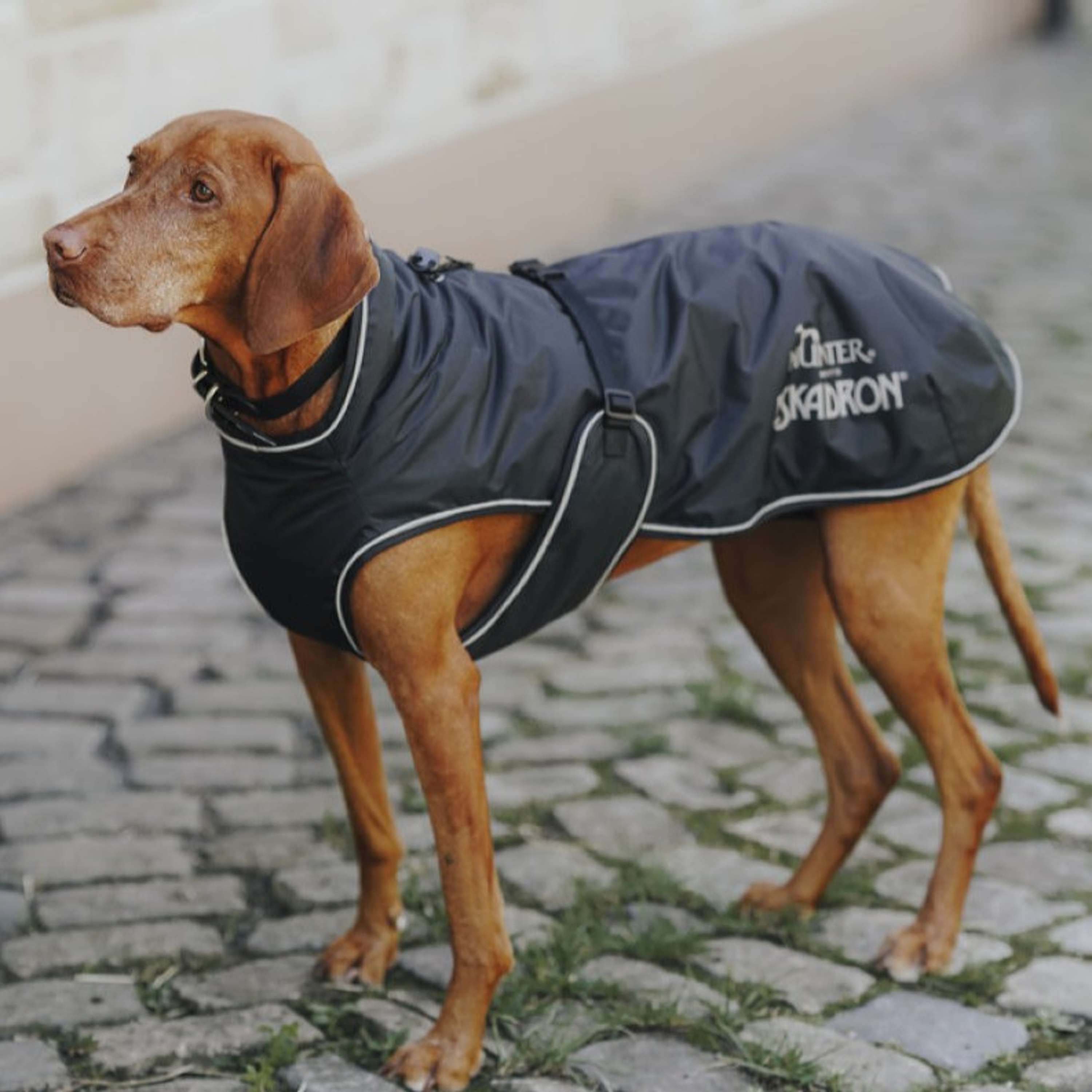 Hunter x Eskadron Manteau d’hiver pour chien Vario Noir