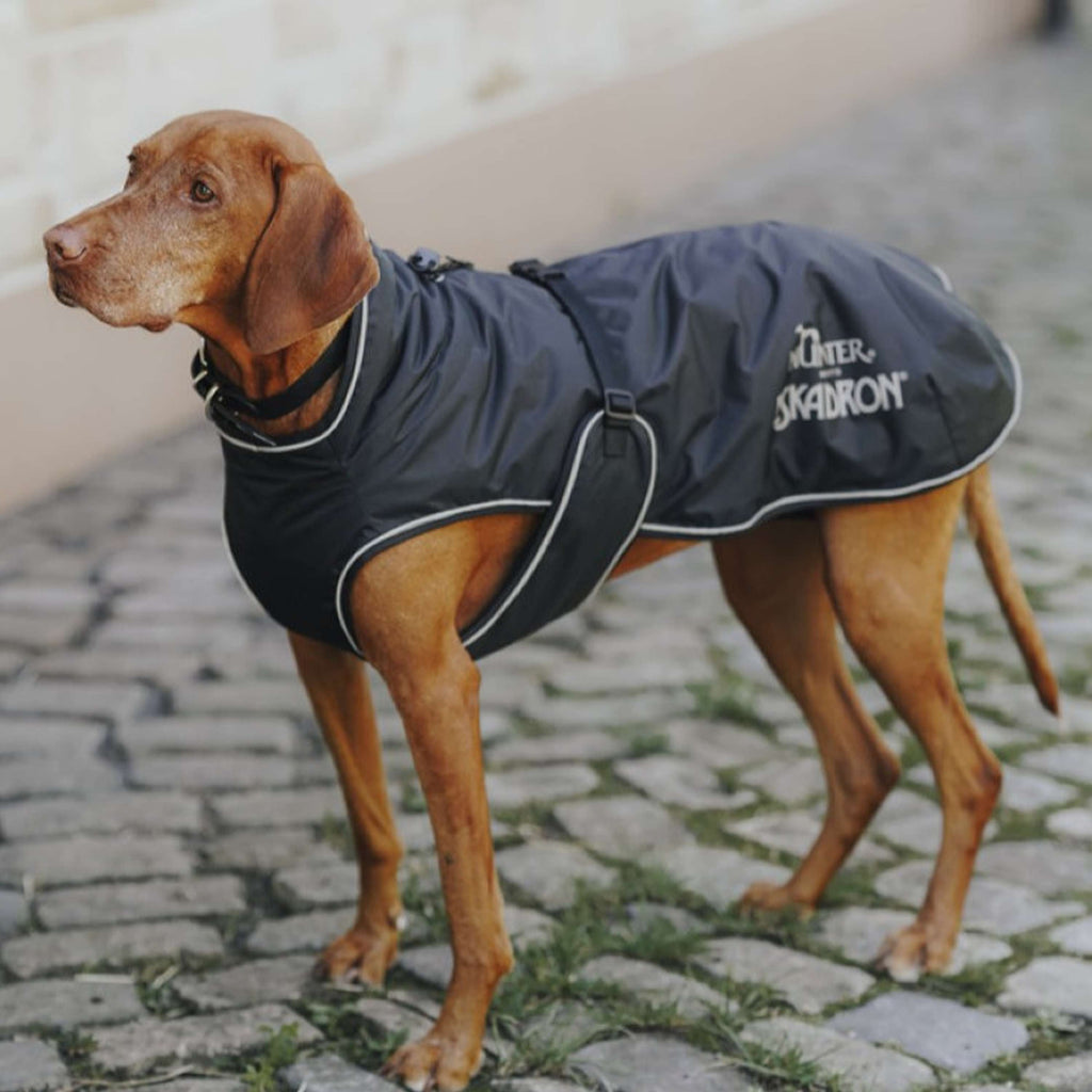 Hunter x Eskadron Manteau d’hiver pour chien Vario Noir
