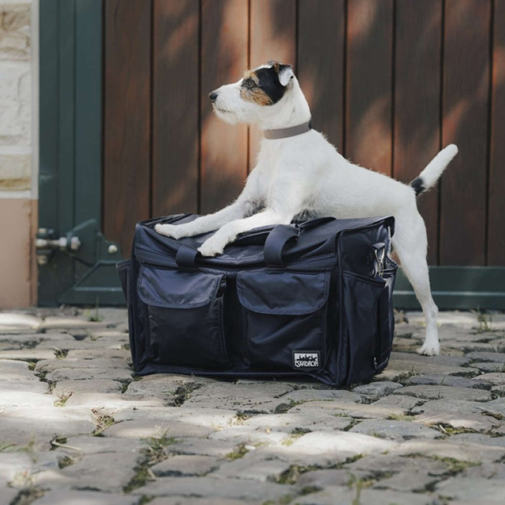Hunter x Eskadron Collier pour Chien Spark Taupe