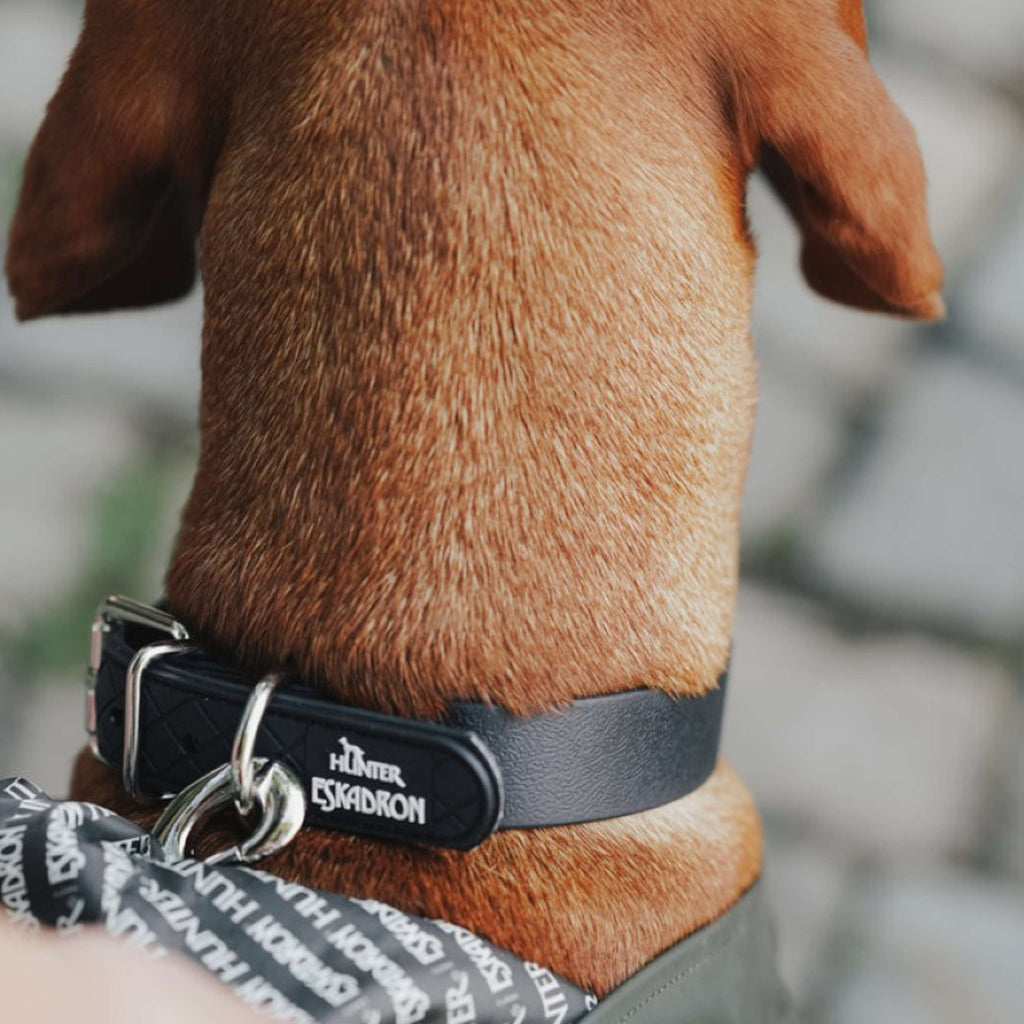 Hunter x Eskadron Collier pour Chien Spark Noir