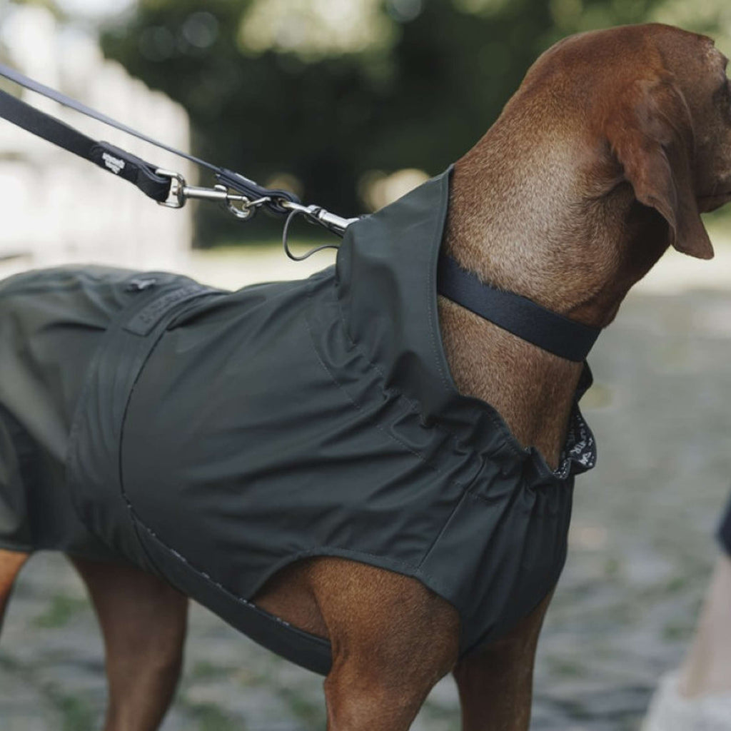 Hunter x Eskadron Imperméable Pour Chien Rainshield Olive