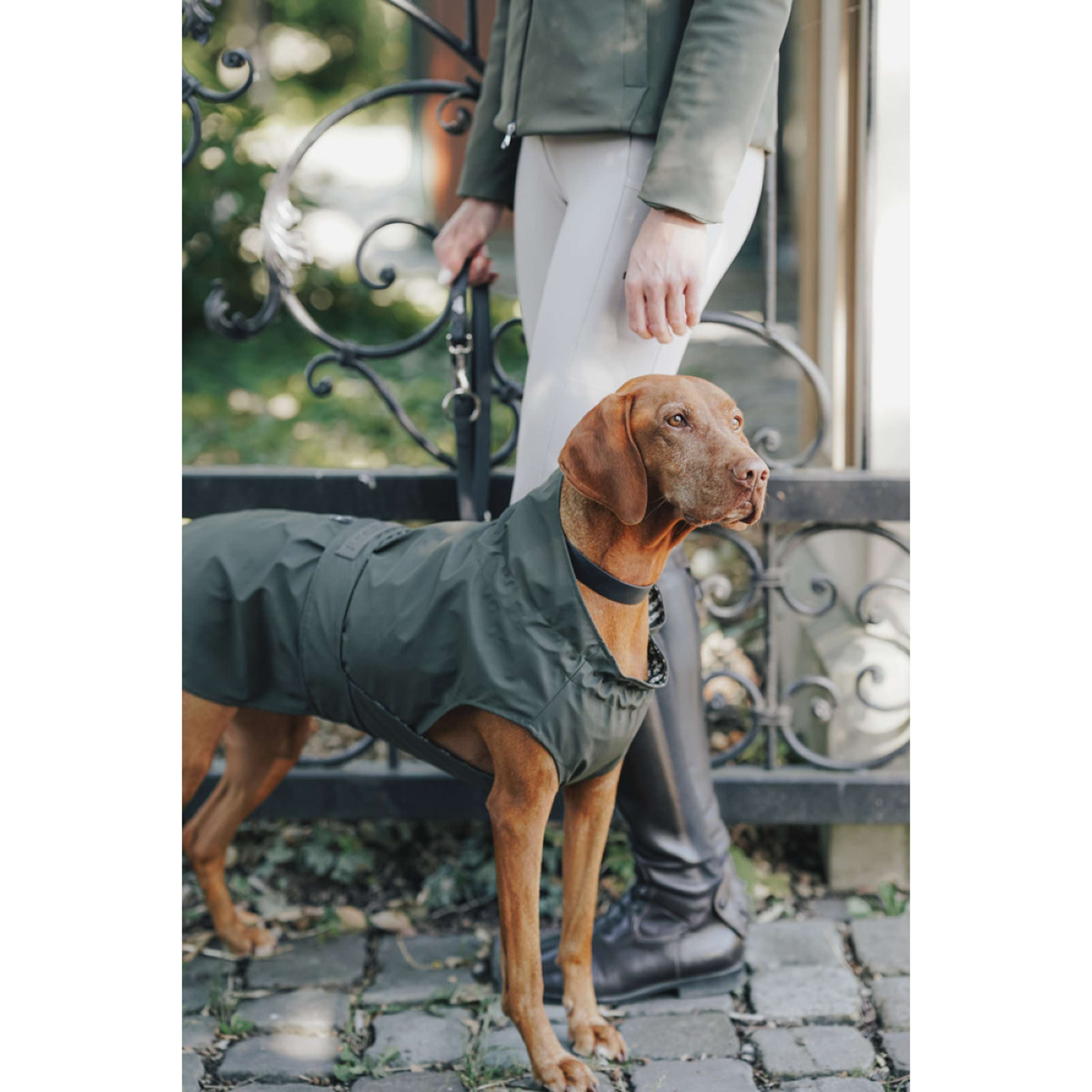 Hunter x Eskadron Imperméable Pour Chien Rainshield Olive