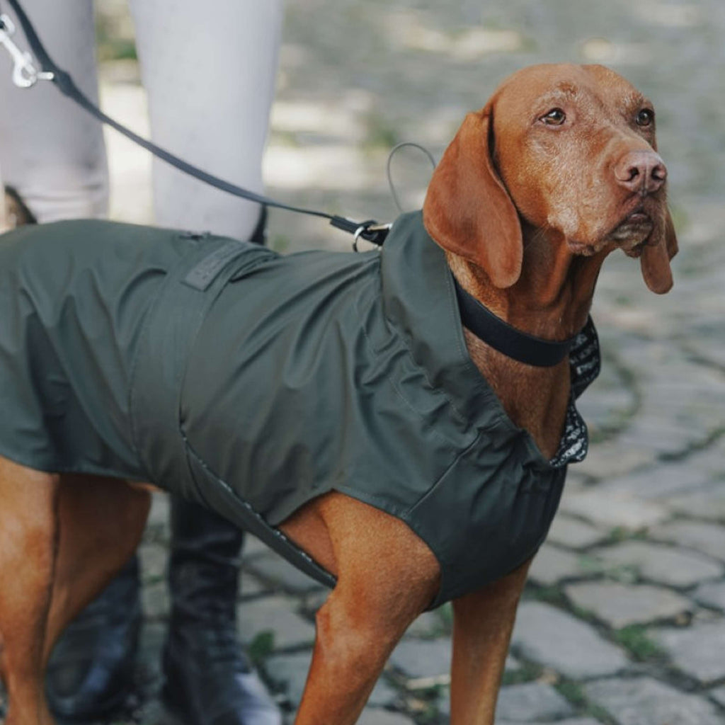Hunter x Eskadron Imperméable Pour Chien Rainshield Olive