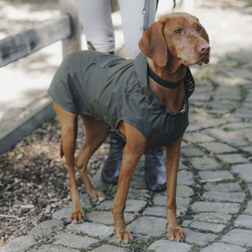 Hunter x Eskadron Imperméable Pour Chien Rainshield Olive
