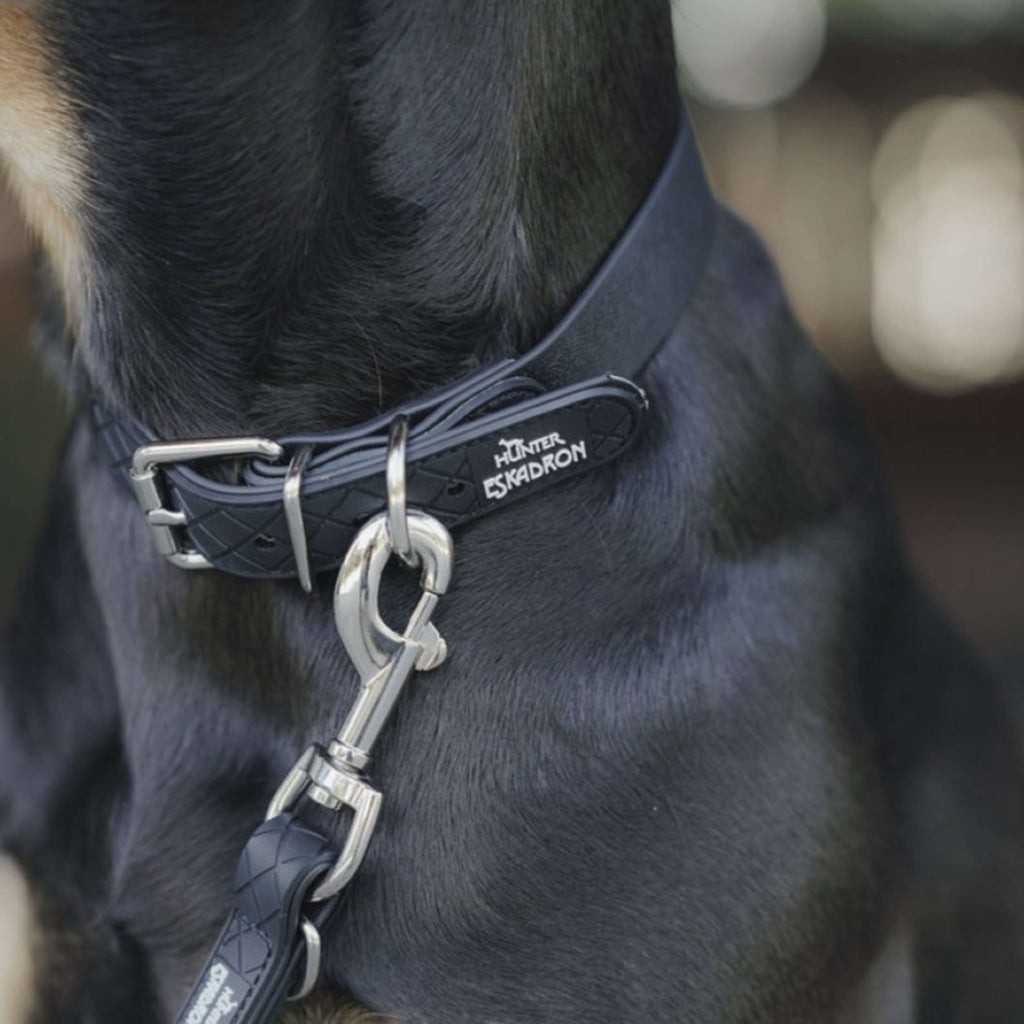 Hunter x Eskadron Collier pour Chien Spark Noir