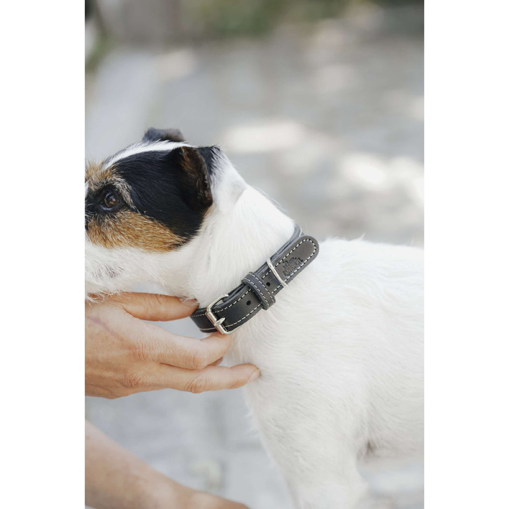 Hunter x Eskadron Collier pour Chien Craft Noir