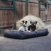 Hunter x Eskadron Lit pour Chien Chester Anthracite carreau