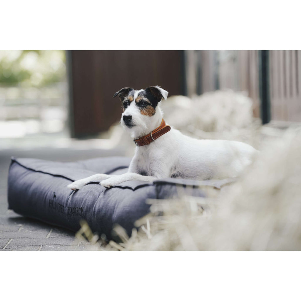 Hunter x Eskadron Lit pour Chien Chester Anthracite carreau