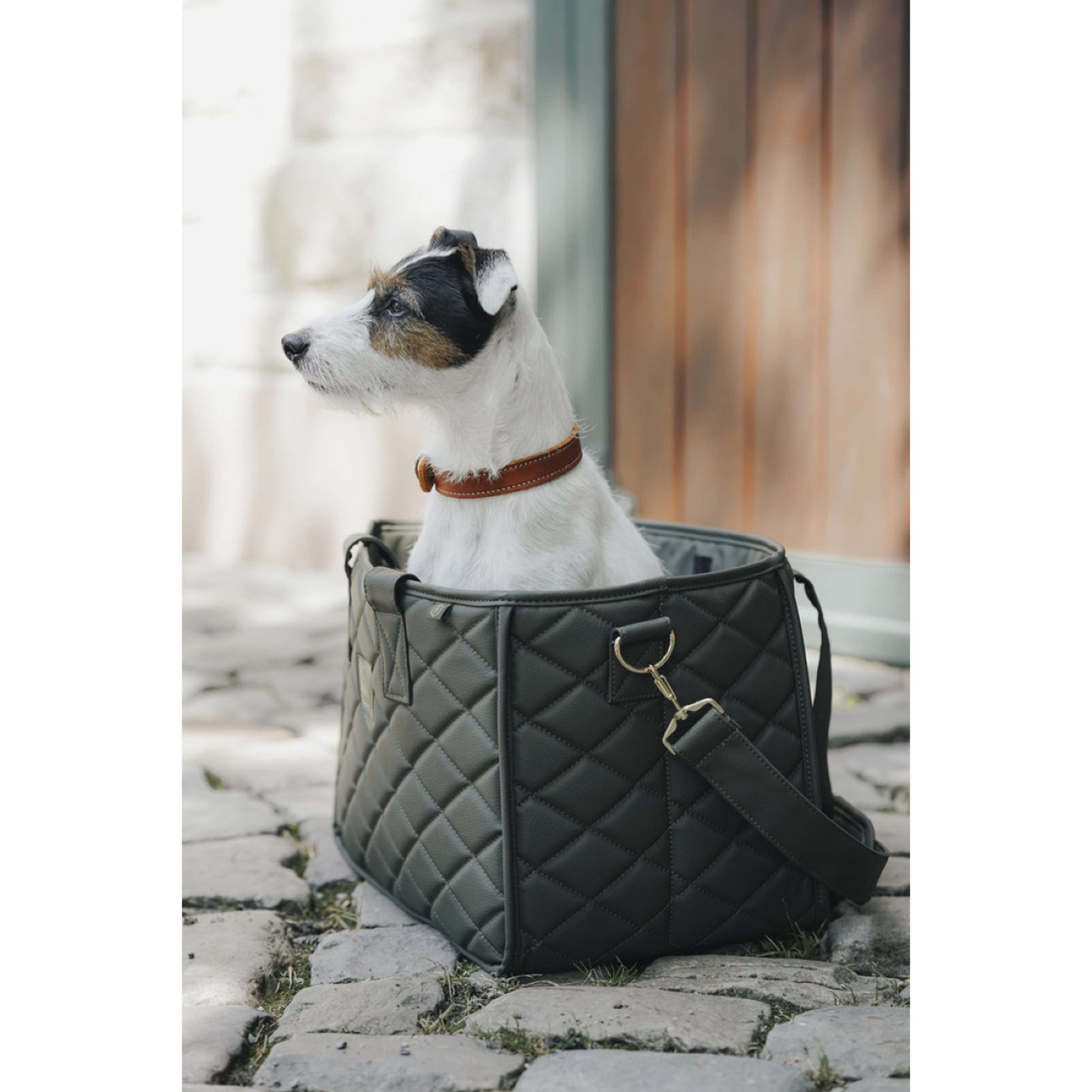 Hunter x Eskadron Collier pour Chien Craft Cognac