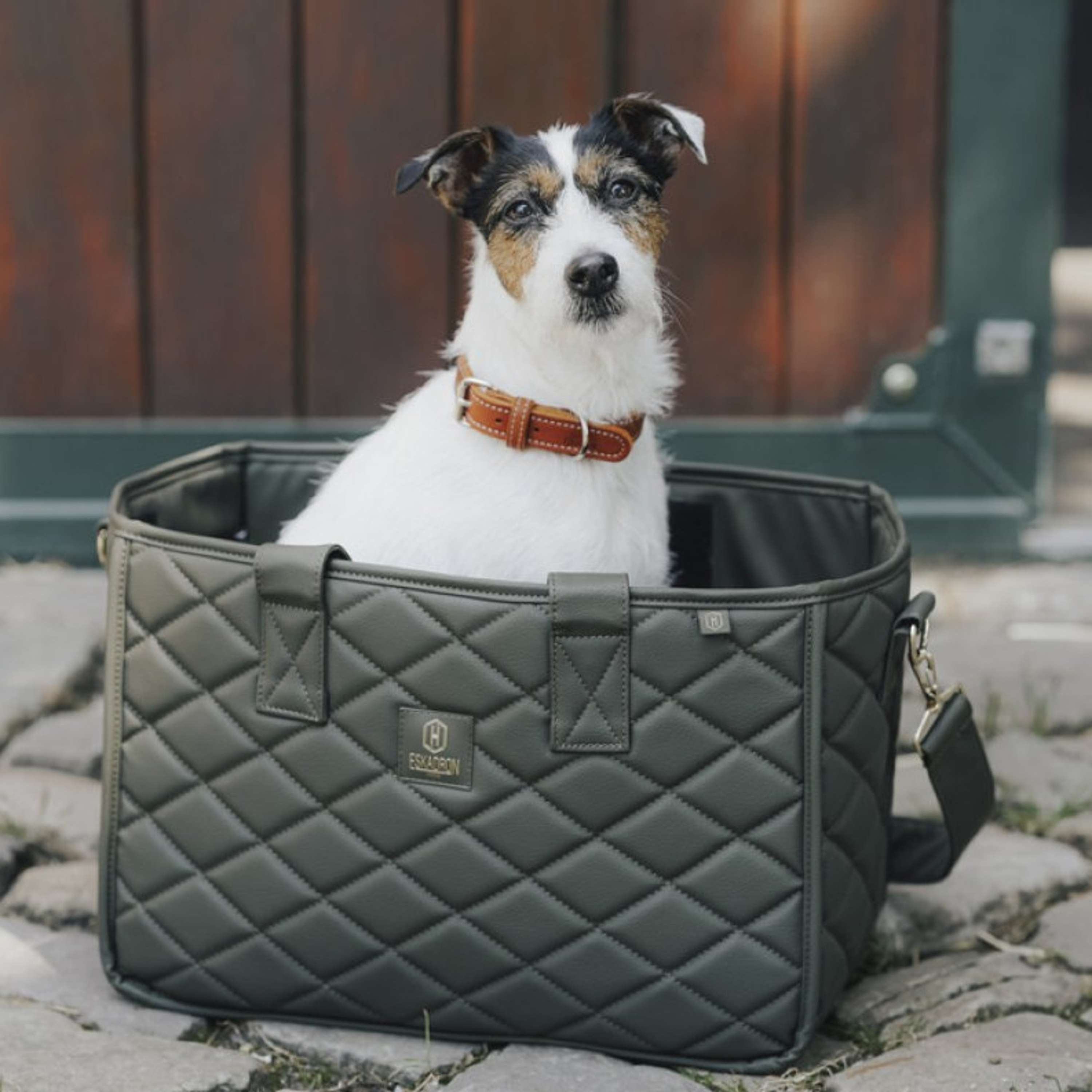 Hunter x Eskadron Collier pour Chien Craft Cognac