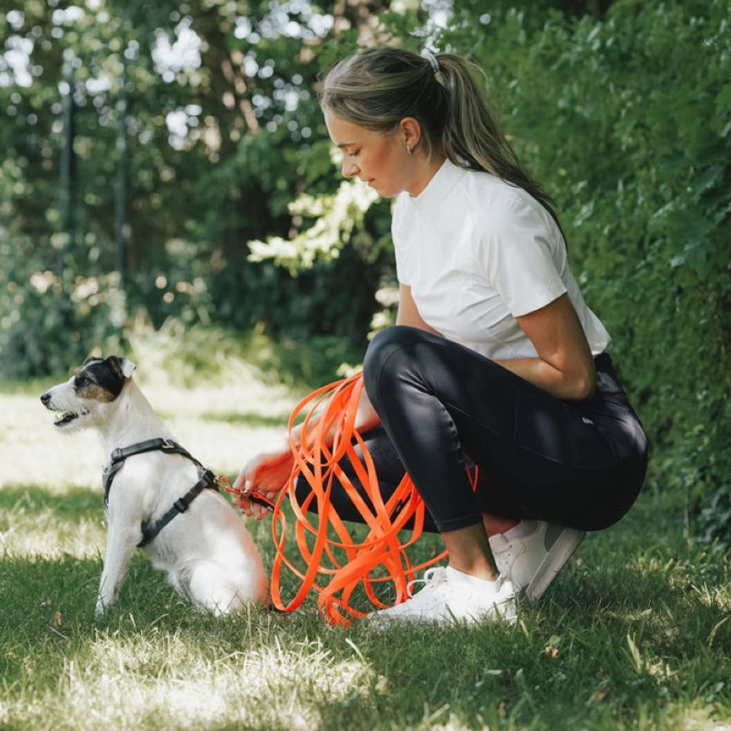 Hunter x Eskadron Laisse pour Chien Spark Tracking Neon Orange