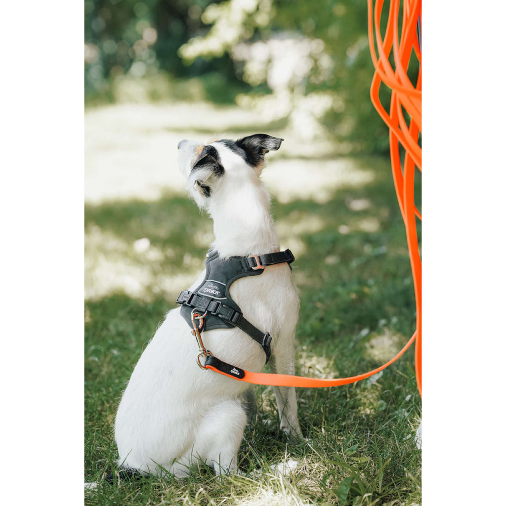 Hunter x Eskadron Harnais pour Chien Motion Reflect Anthracite