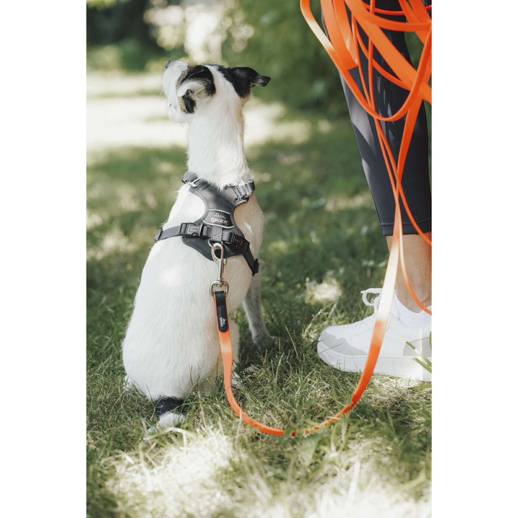 Hunter x Eskadron Laisse pour Chien Spark Tracking Neon Orange