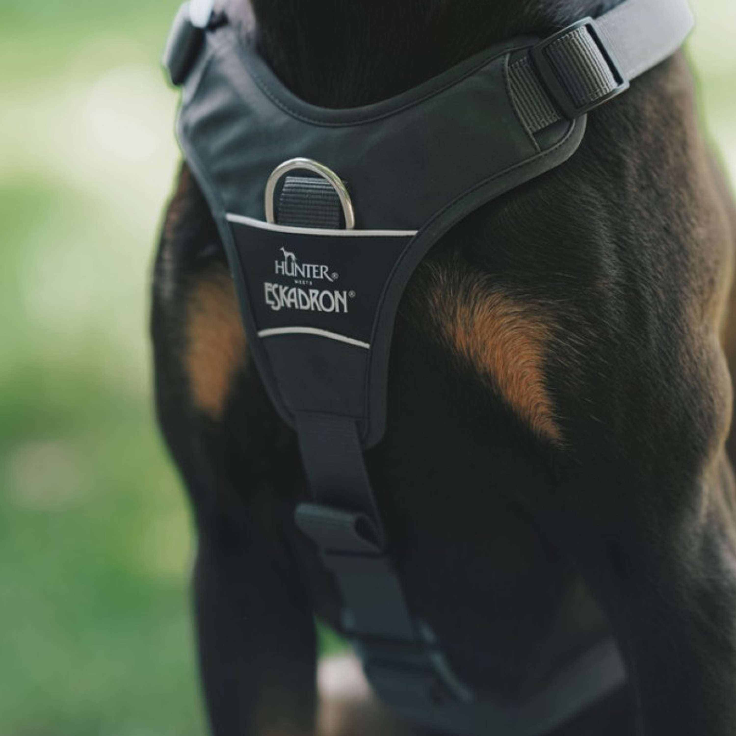 Hunter x Eskadron Harnais pour Chien Motion Reflect Anthracite