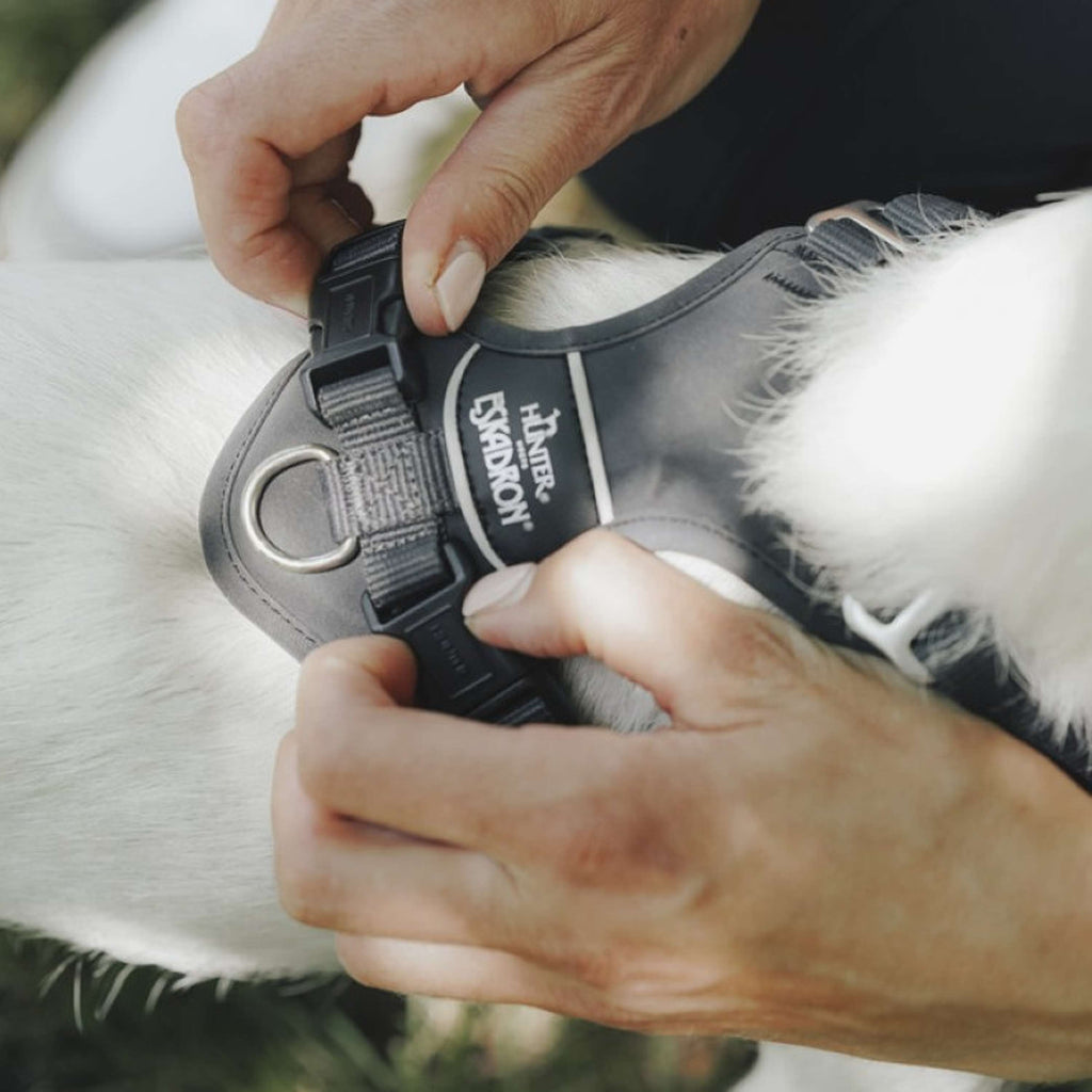 Hunter x Eskadron Harnais pour Chien Motion Reflect Anthracite