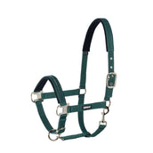 Eskadron Licol Pin Buckle Racinggreen