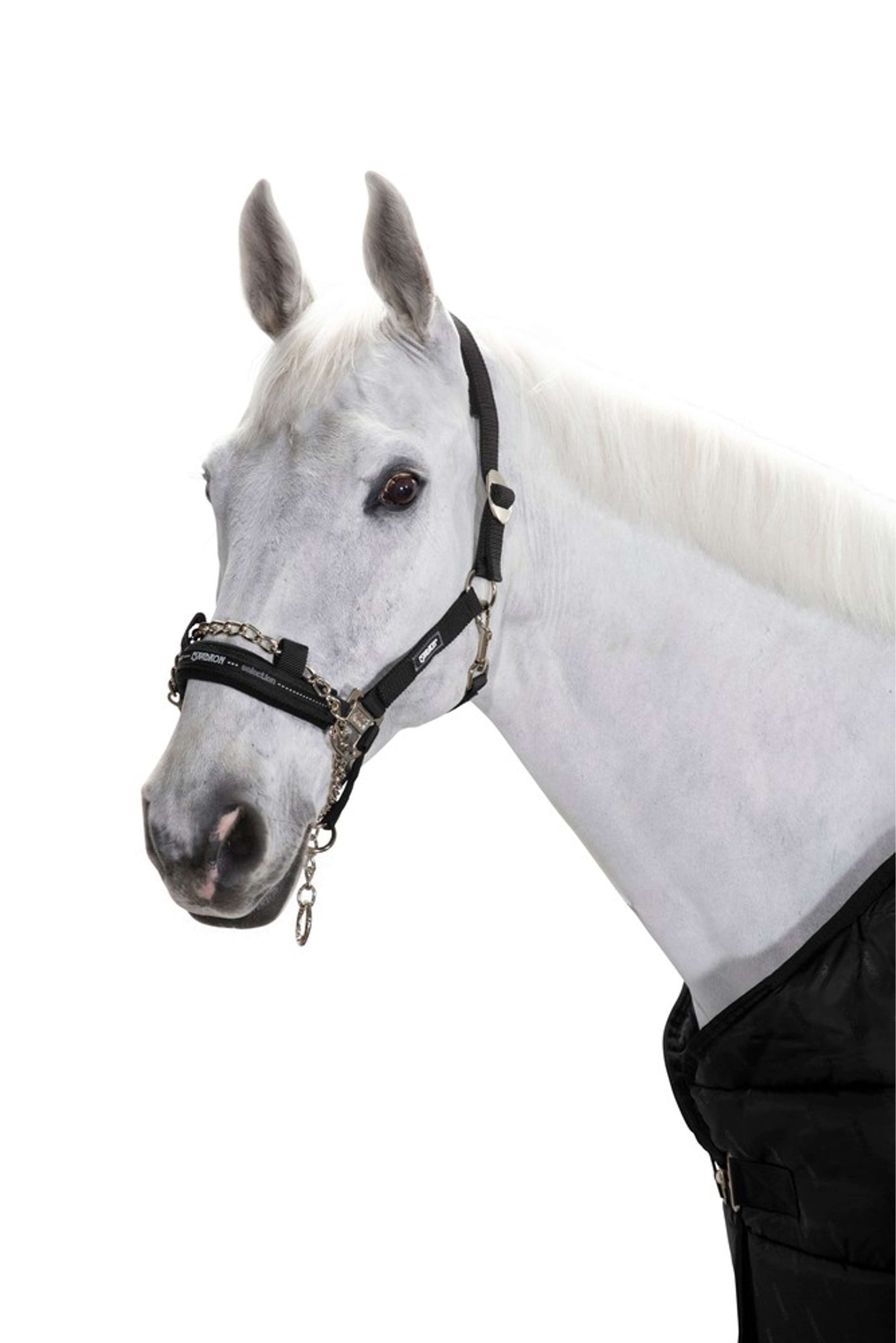 Eskadron Licol Control Pin Buckle Noir Eskadron Licol Control Pin Buckle Noir