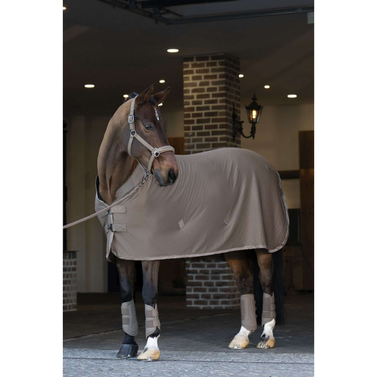 Eskadron Guêtres Faux Leather Platinum '25 Smoky Taupe