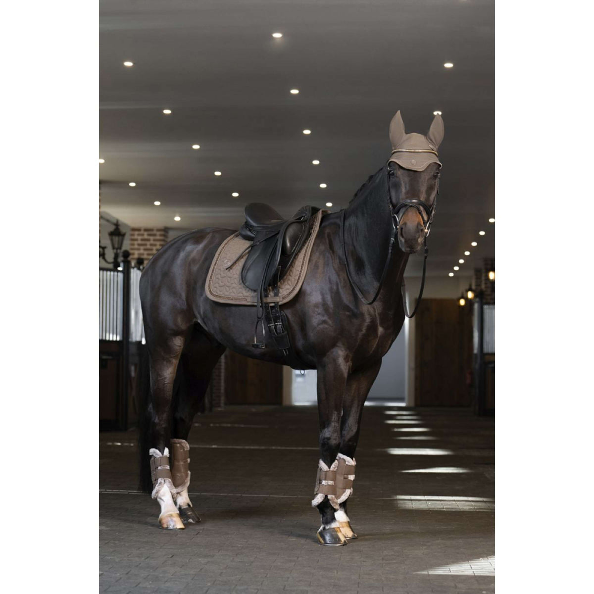 Eskadron Tapis de Selle Sparkle Jewel Platinum '25 Dressage Smoky Taupe