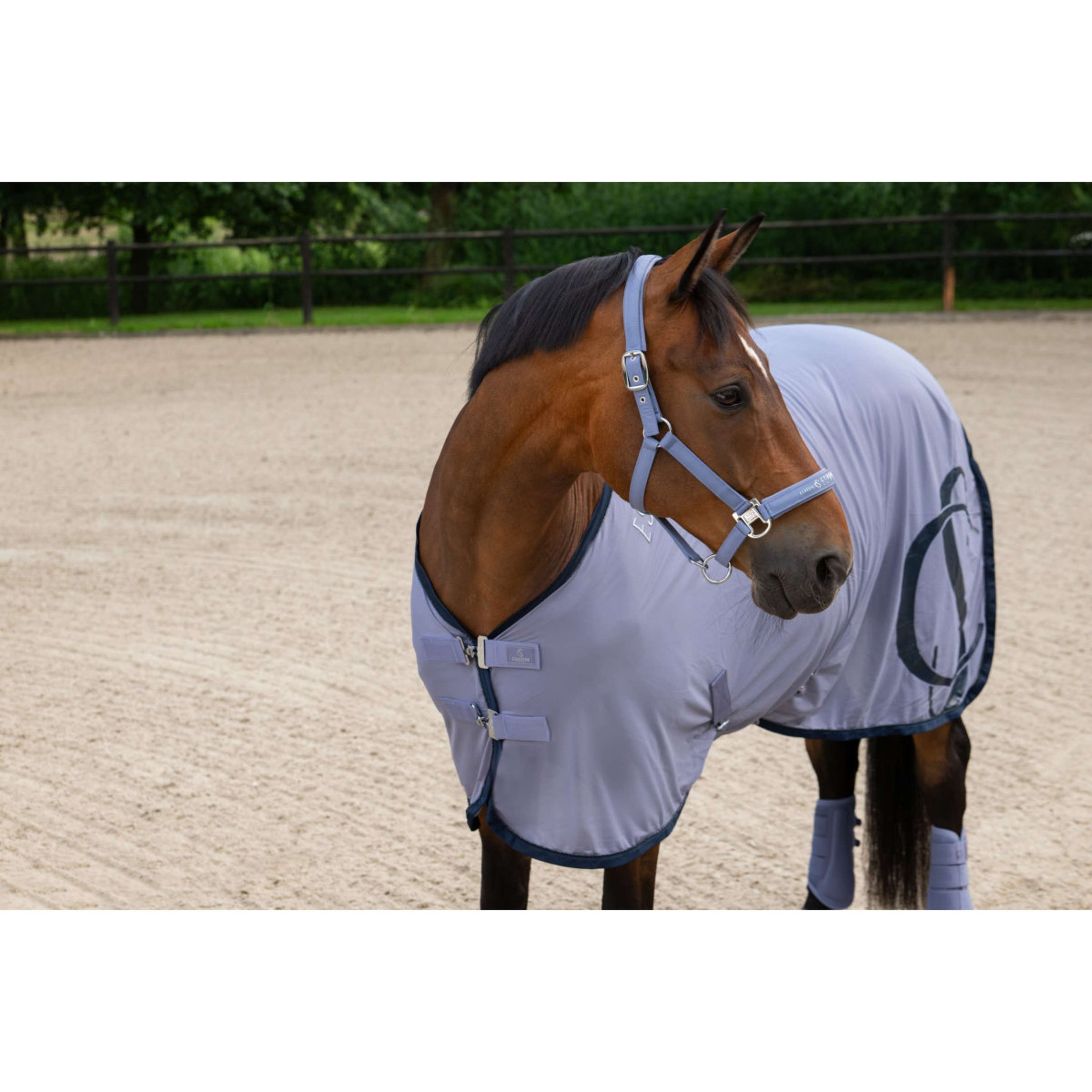 Eskadron Licol Classic Sports Sparkle Orchid Eskadron Licol Classic Sports Sparkle Orchid