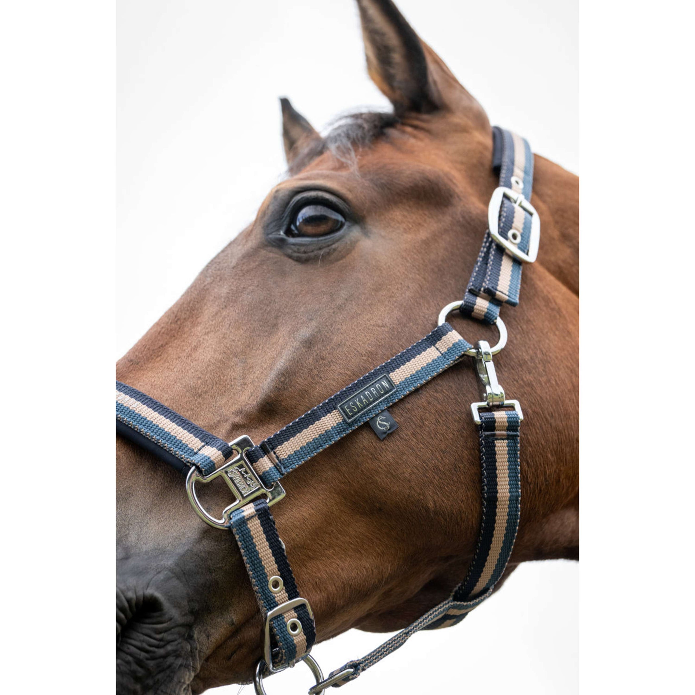 Eskadron Licol Classic Sports Double Pin Ocean/Sierra/Navy Eskadron Licol Classic Sports Double Pin Ocean/Sierra/Navy