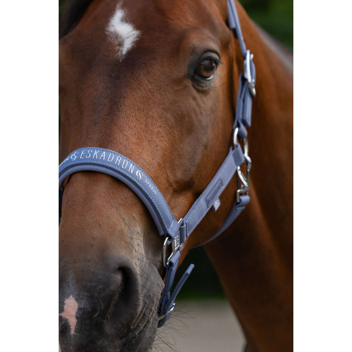 Eskadron Licol Classic Sports Sparkle Orchid