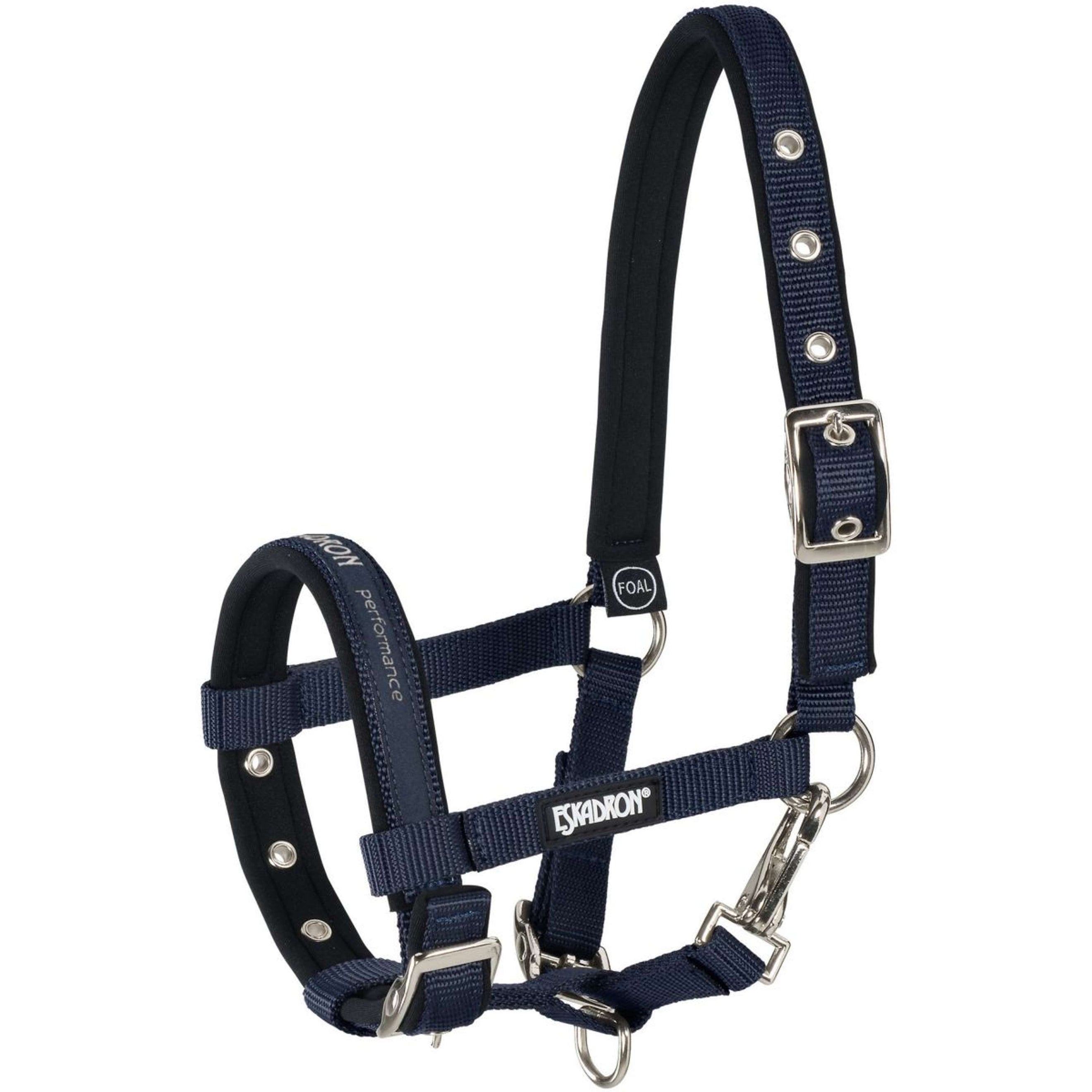 Eskadron Licol pour Poulain New Nightblue