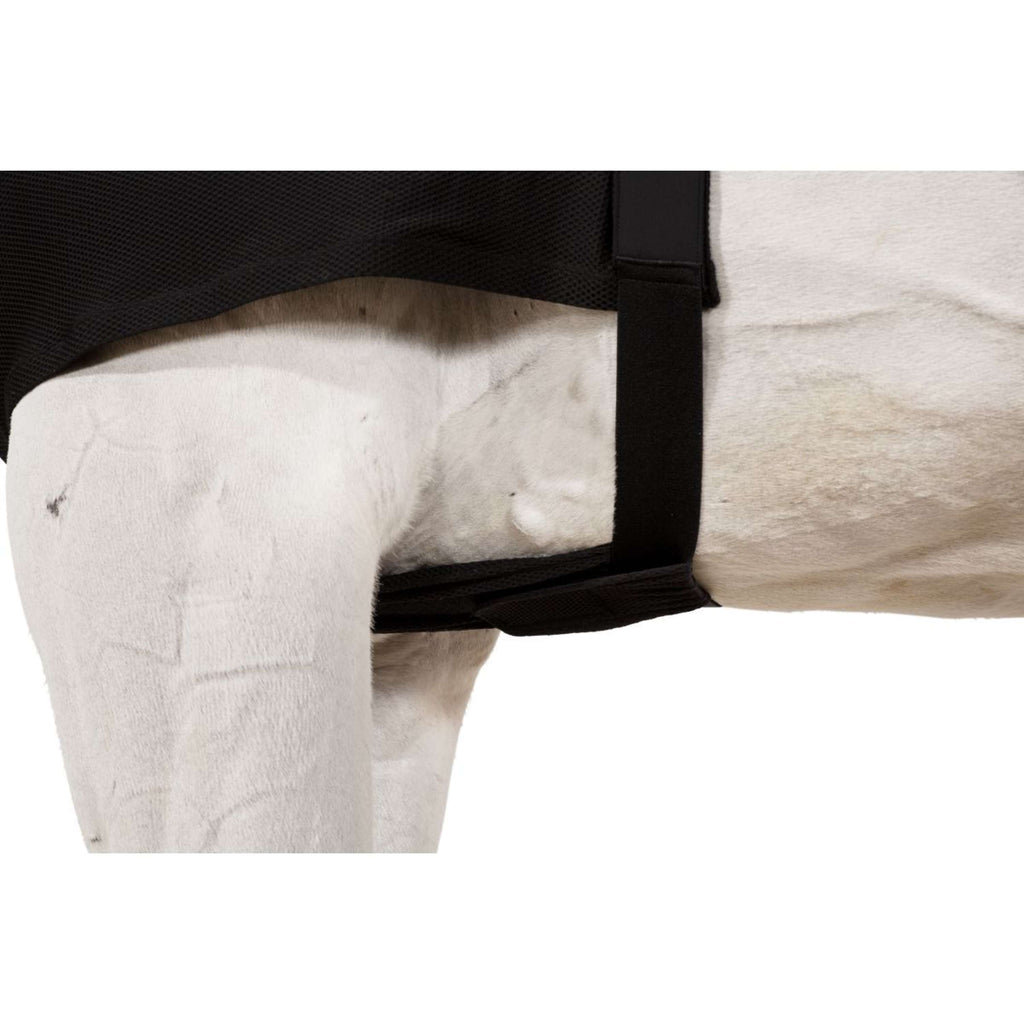 Eskadron Protection de Poitrail DynAirMesh Noir