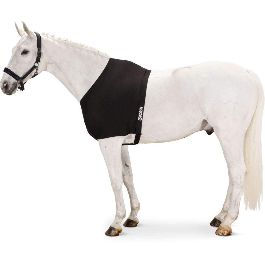 Eskadron Protection de Poitrail DynAirMesh Noir