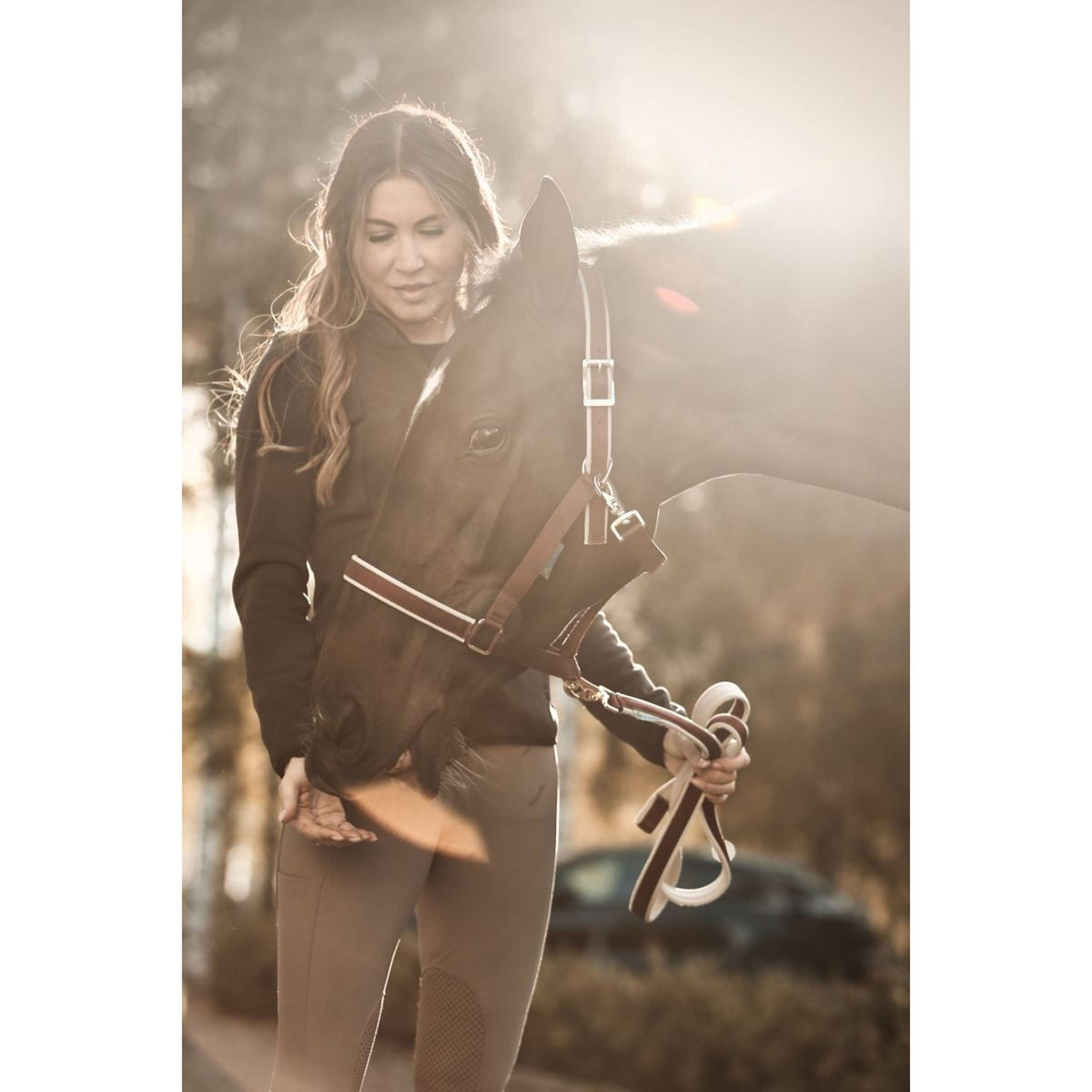 Bucas Licol Dublin Wine/Silver