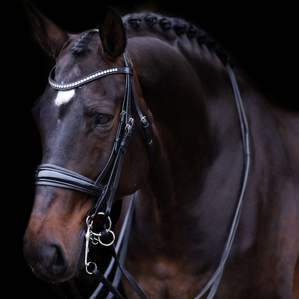 Imperial Riding Ensemble Bride IRHFria Noir