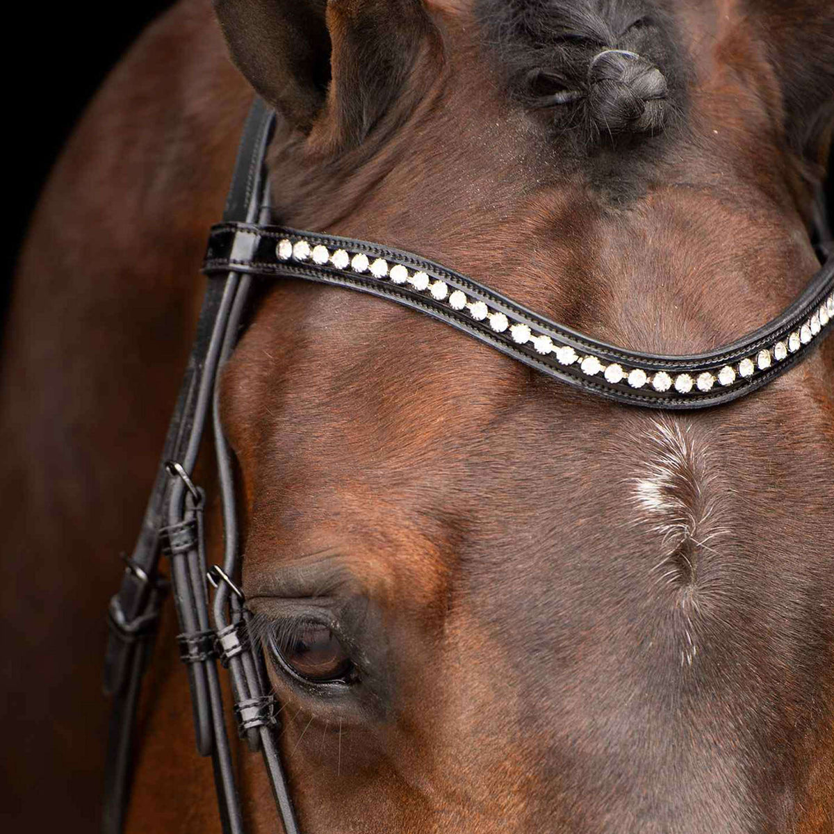 Imperial Riding Bride IRHAthena Noir