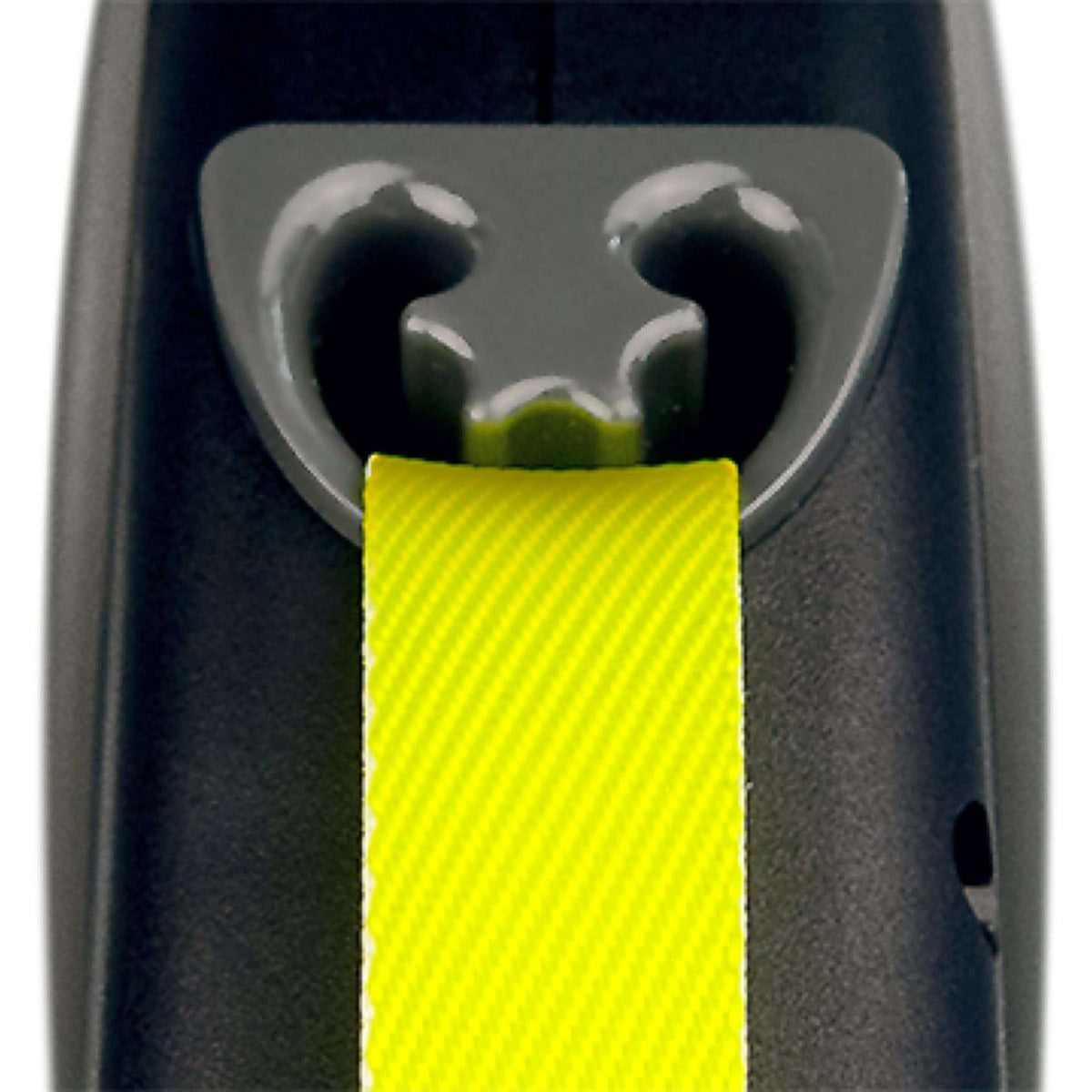 Flexi Giant 50kg Noir