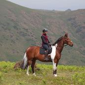 Aubrion by Shires Bodychauffant Original Fleece Maroon Red